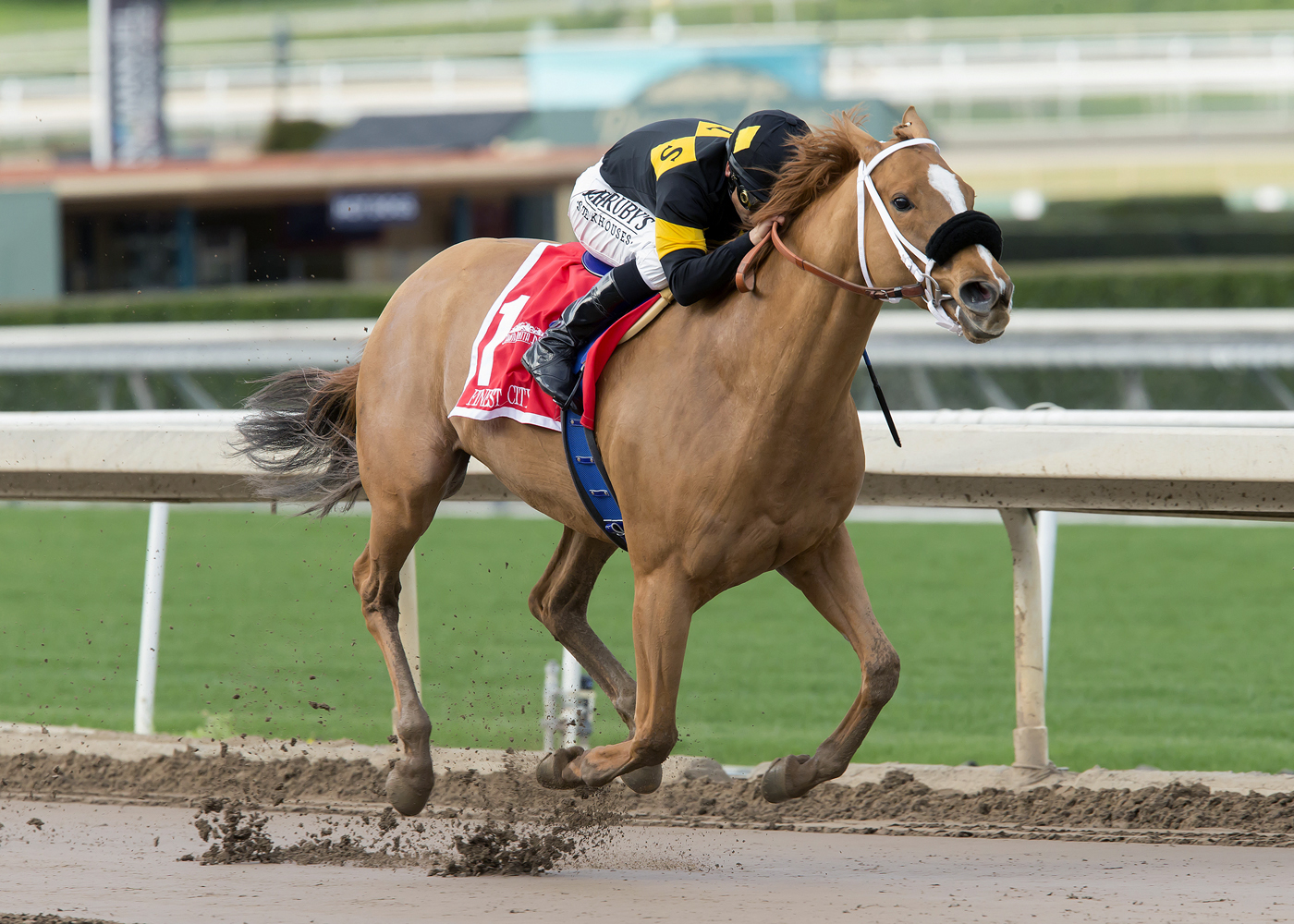 Finest City wins the Santa Monica Stakes