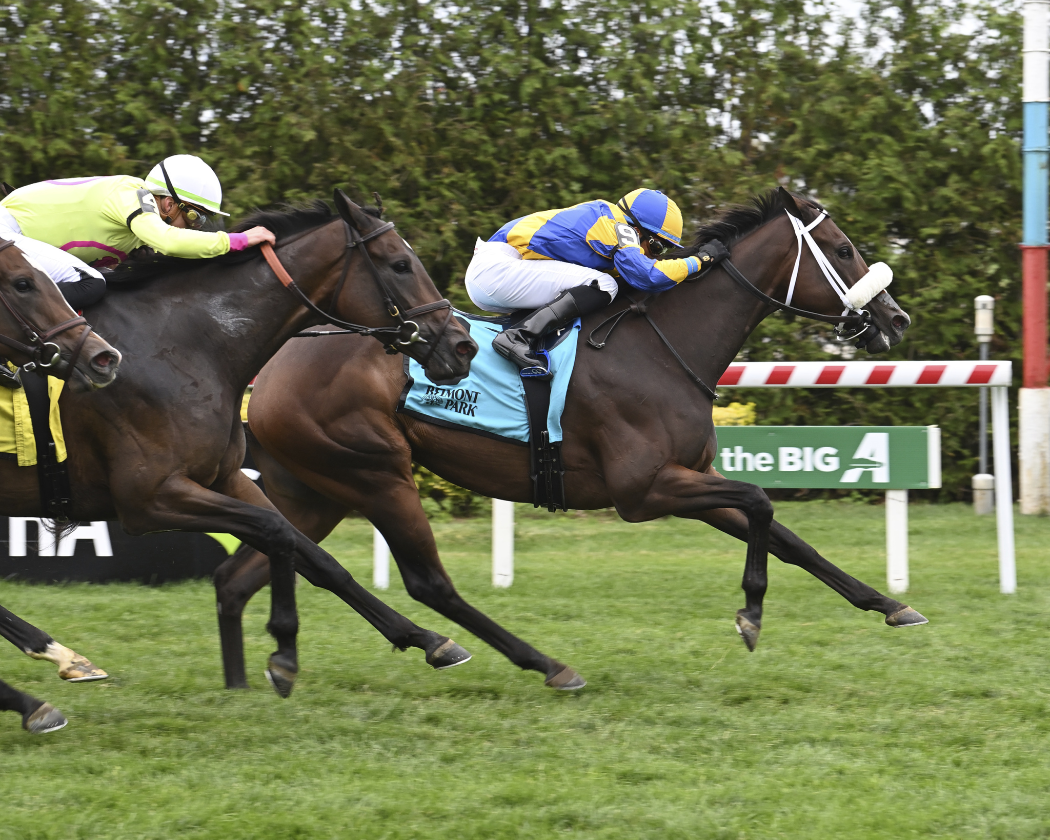 Finest Work wins the John Hettinger at Aqueduct Sept 30 2022