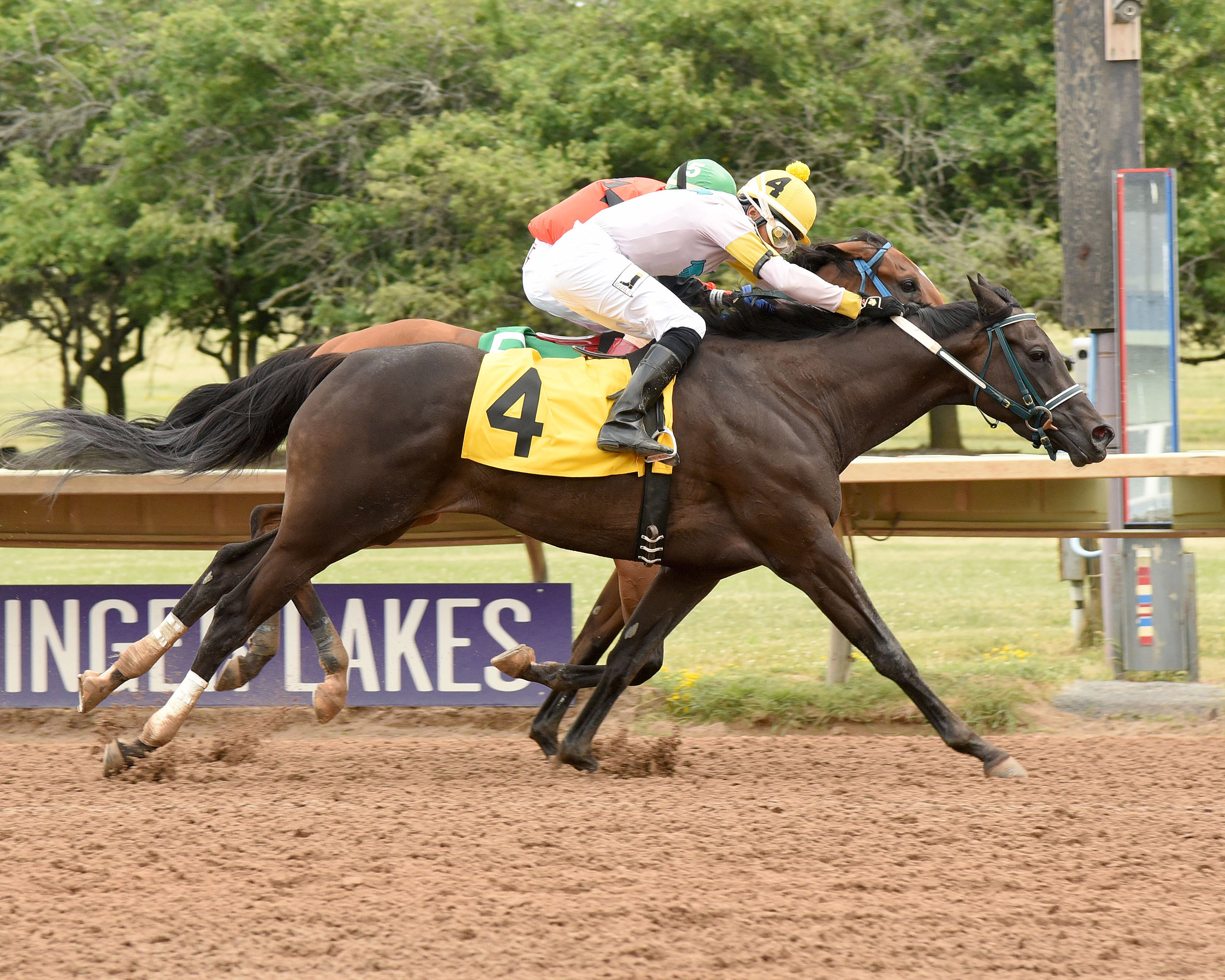 Fingerpainter wins the Niagra Stakes