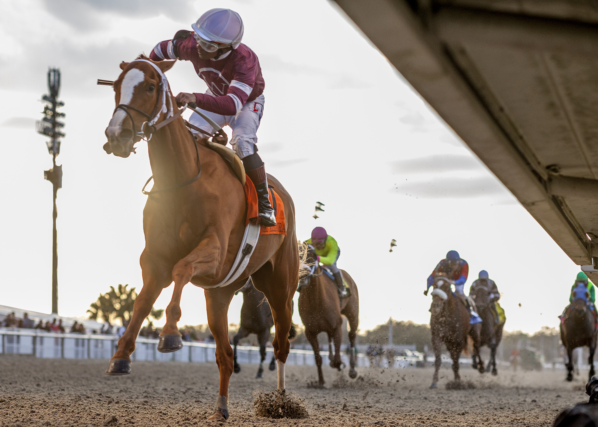 Finite wins the 2020 Rachel Alexandra Stakes
