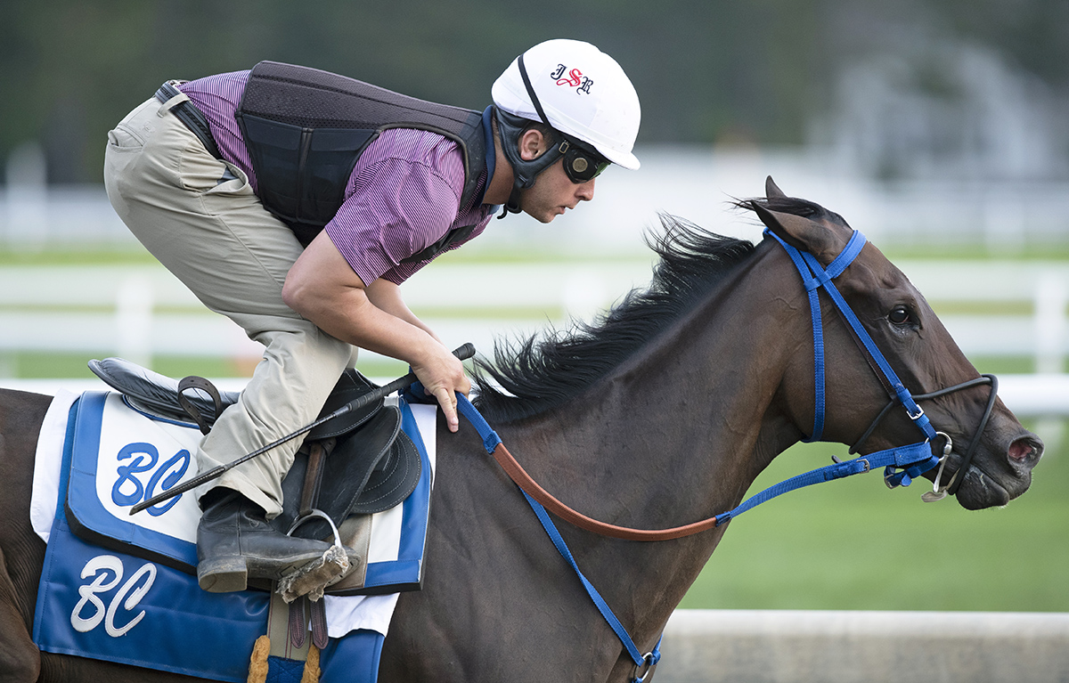 Finley-sluckycharm trains at Saratoga on Aug. 17