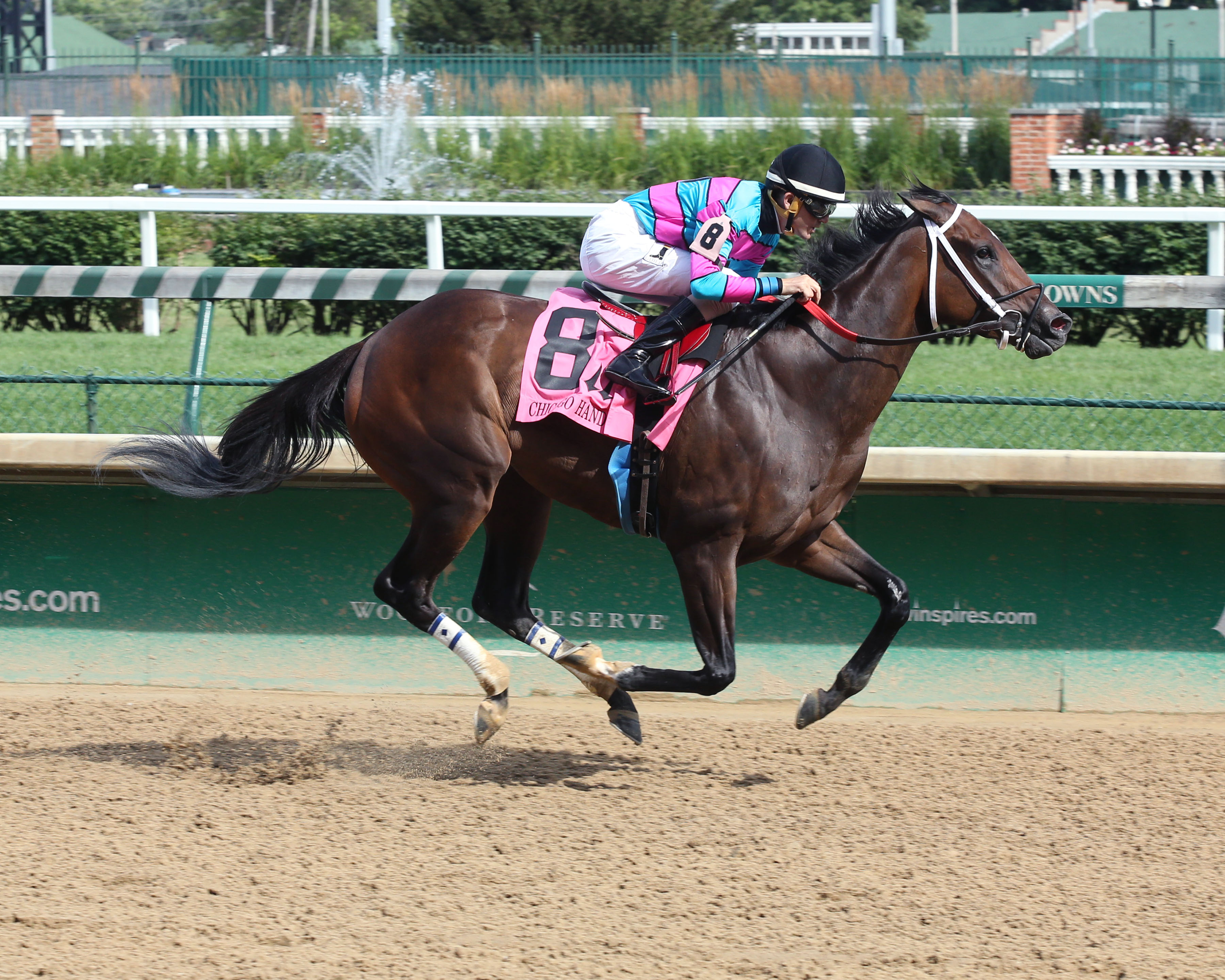 Finley'sluckycharm wins the Chicago Handicap