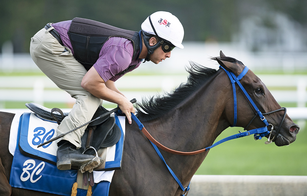Finley-sluckycharm trains at Saratoga on Aug. 17