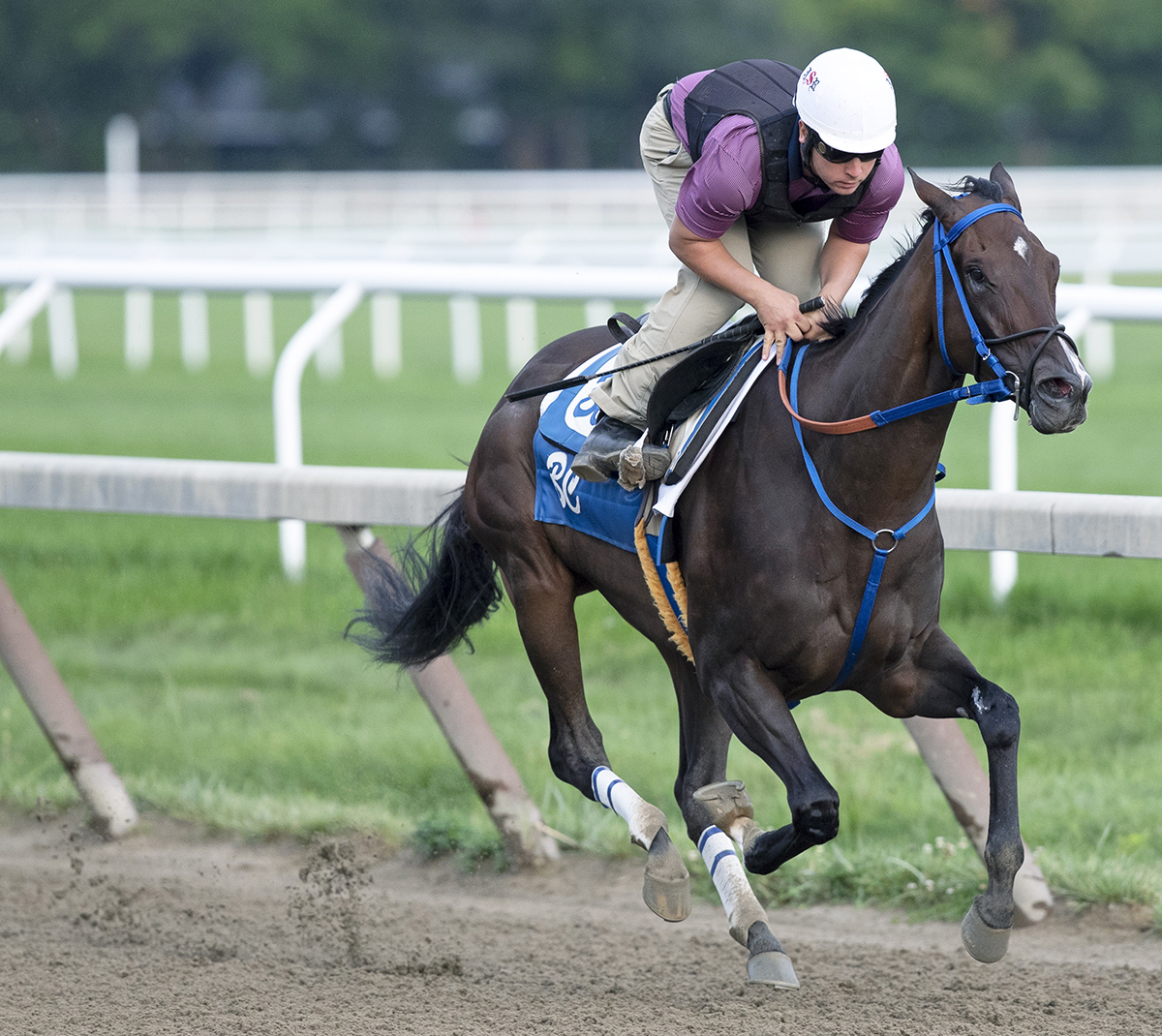 Finley-sluckycharm trains at Saratoga on Aug. 17