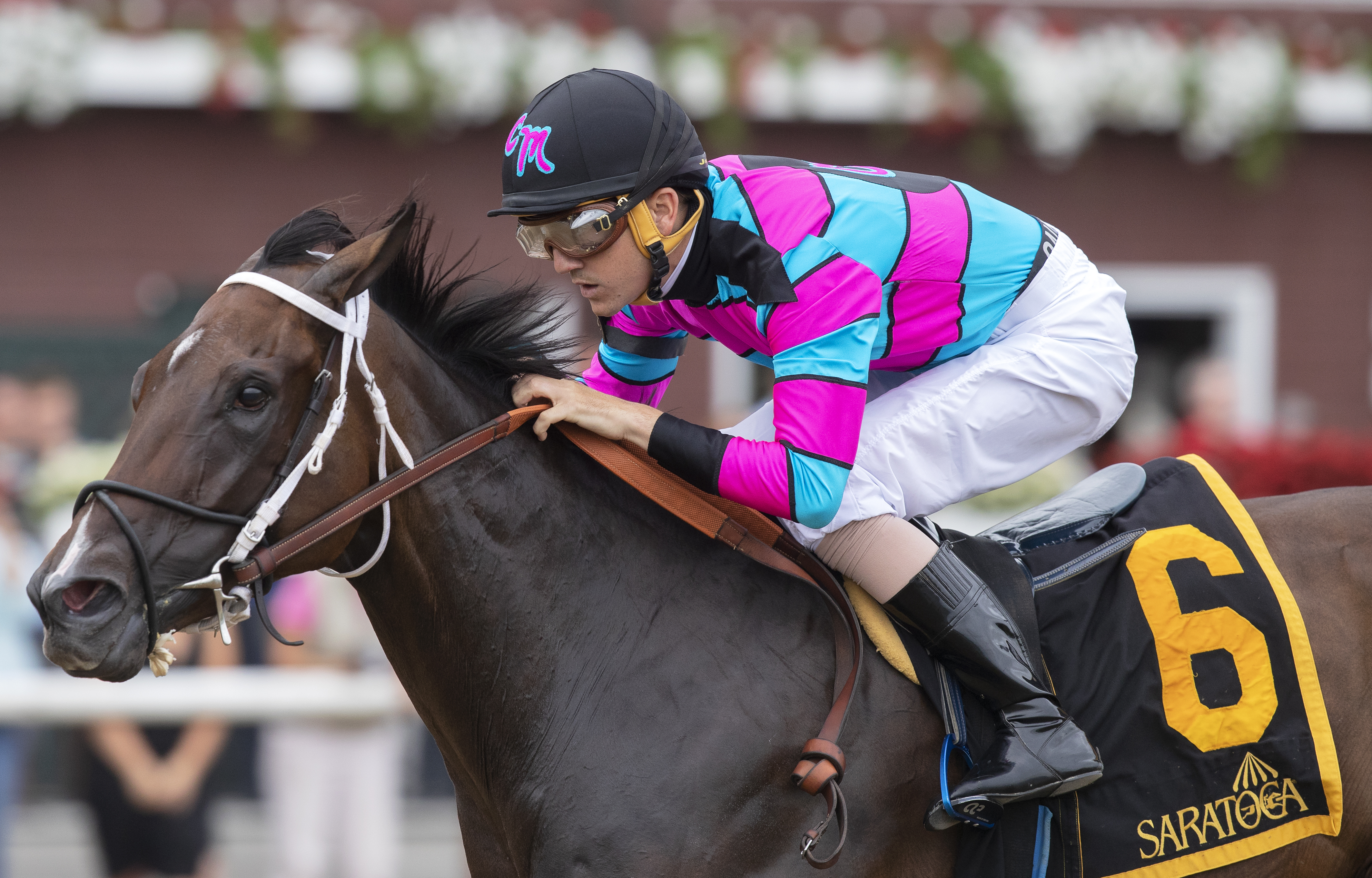 Finley-sluckycharm wins the 2018 Honorable Miss Stakes