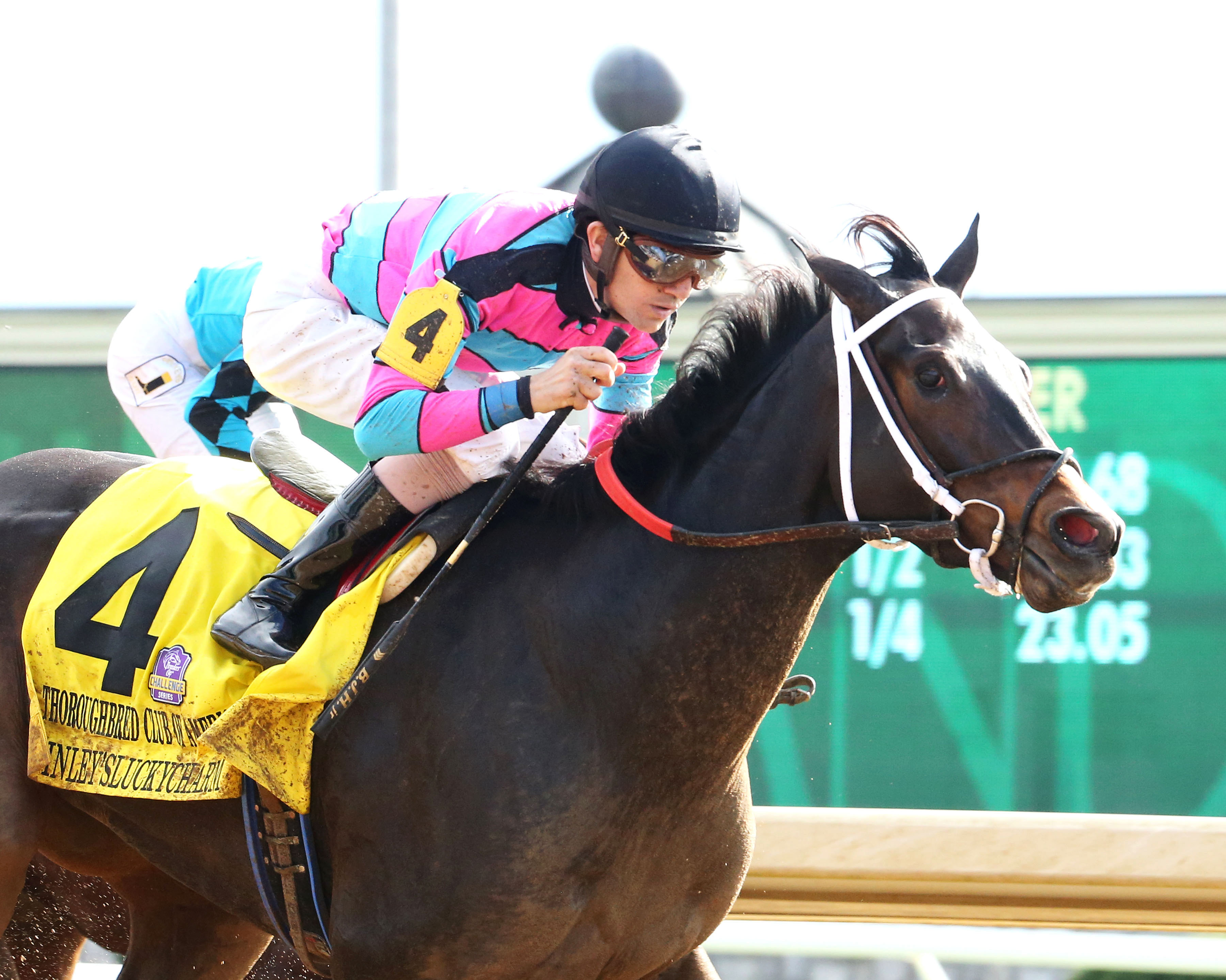 Finley-sluckycharm wins the 2017 Thoroughbred Club of America Stakes