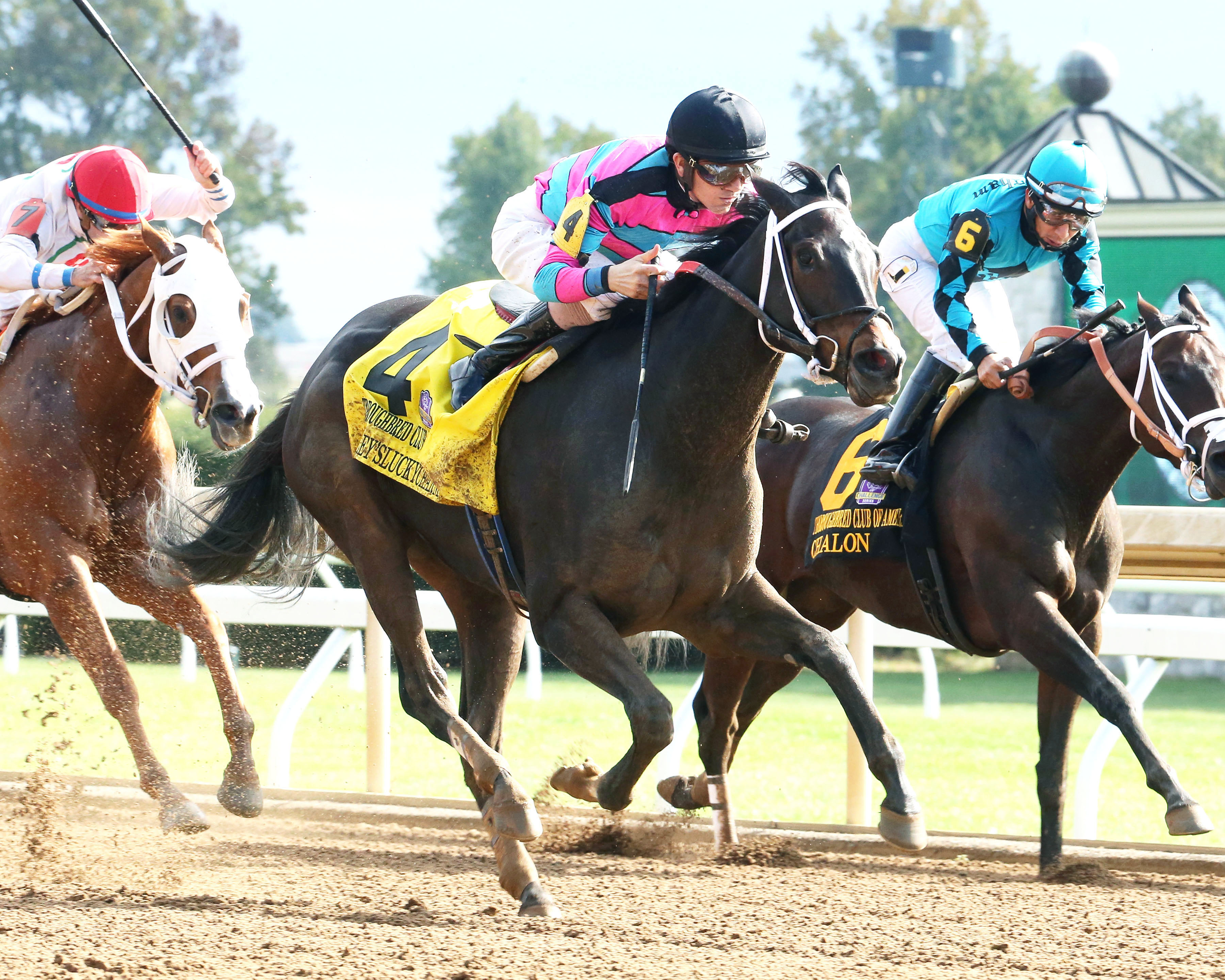 Finley-sluckycharm wins the 2017 Thoroughbred Club of America Stakes