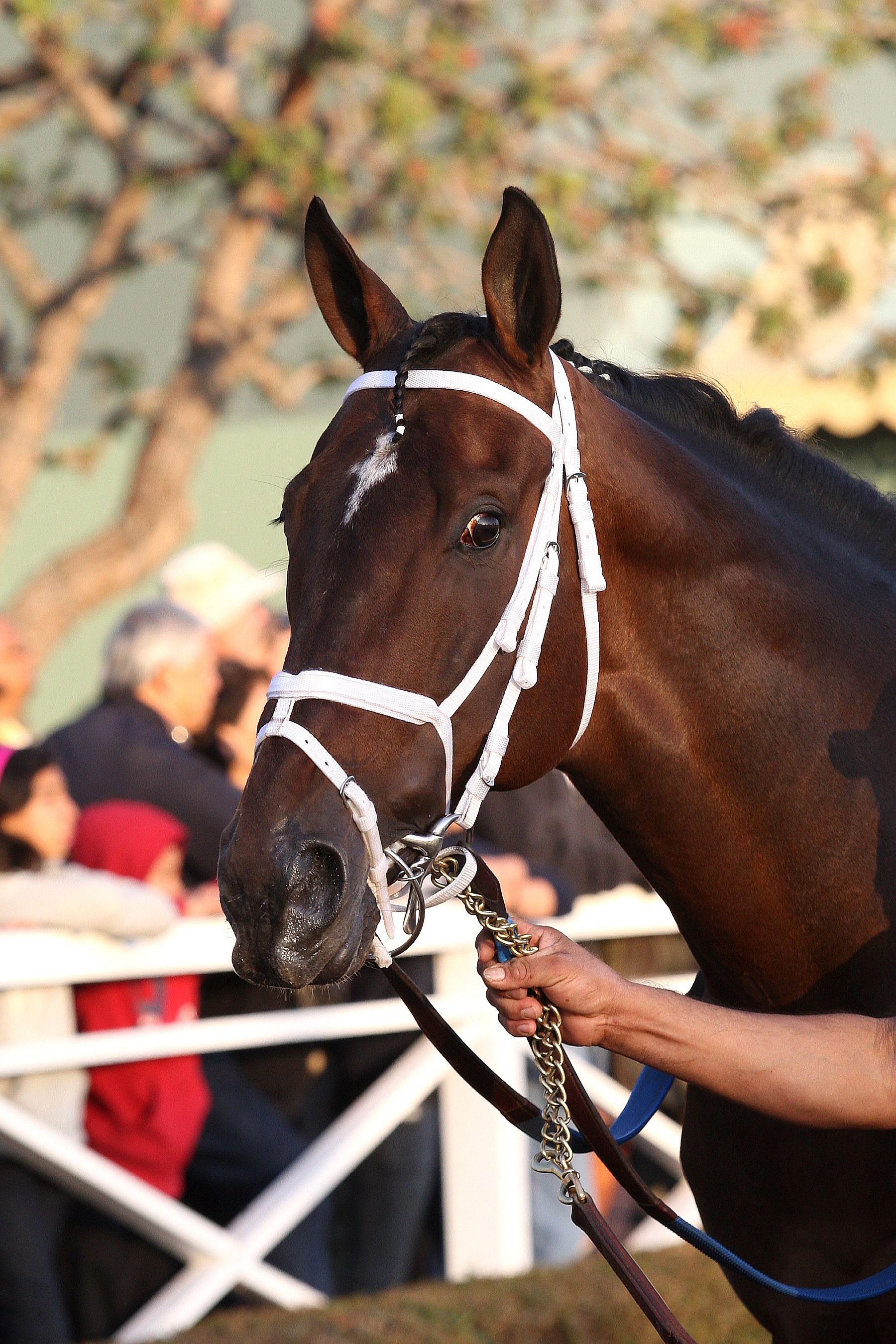 Finnegans Wake 1-3-15