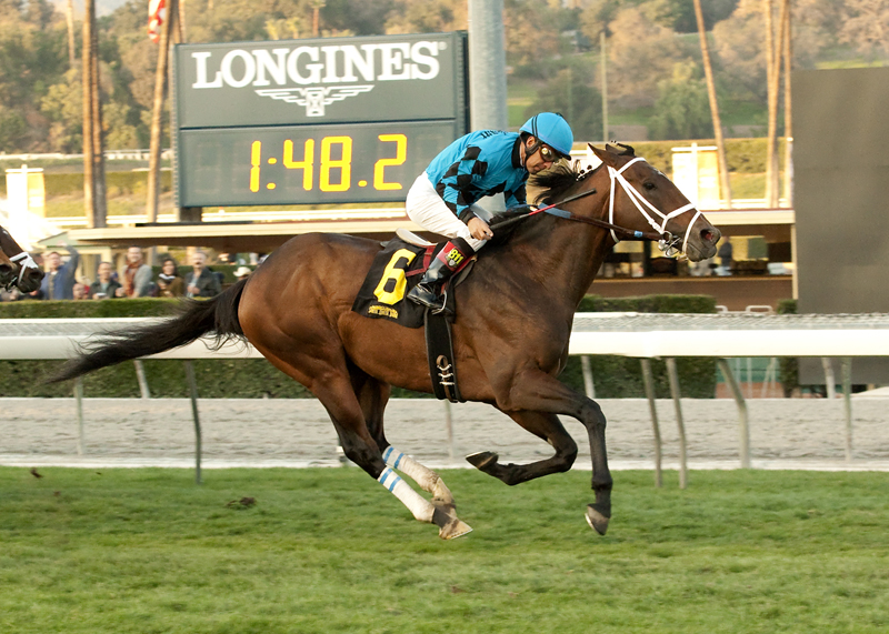 Finnegans Wake 1-3-2015