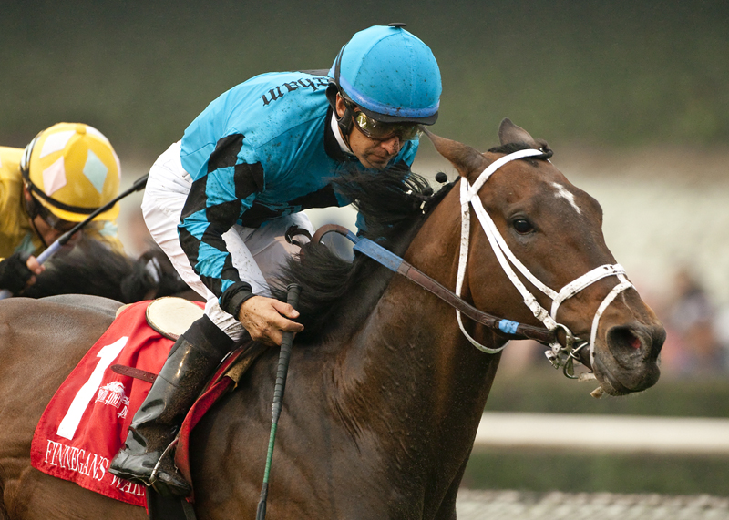 Finnegans Wake wins 2015 San Marcos