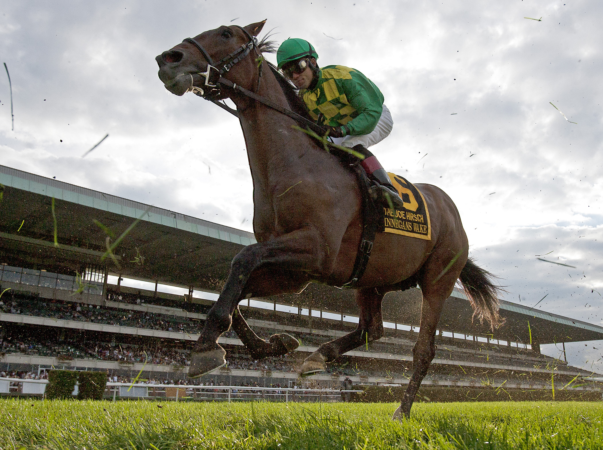 Finnegans Wake, Joe Hirsch Turf Classic