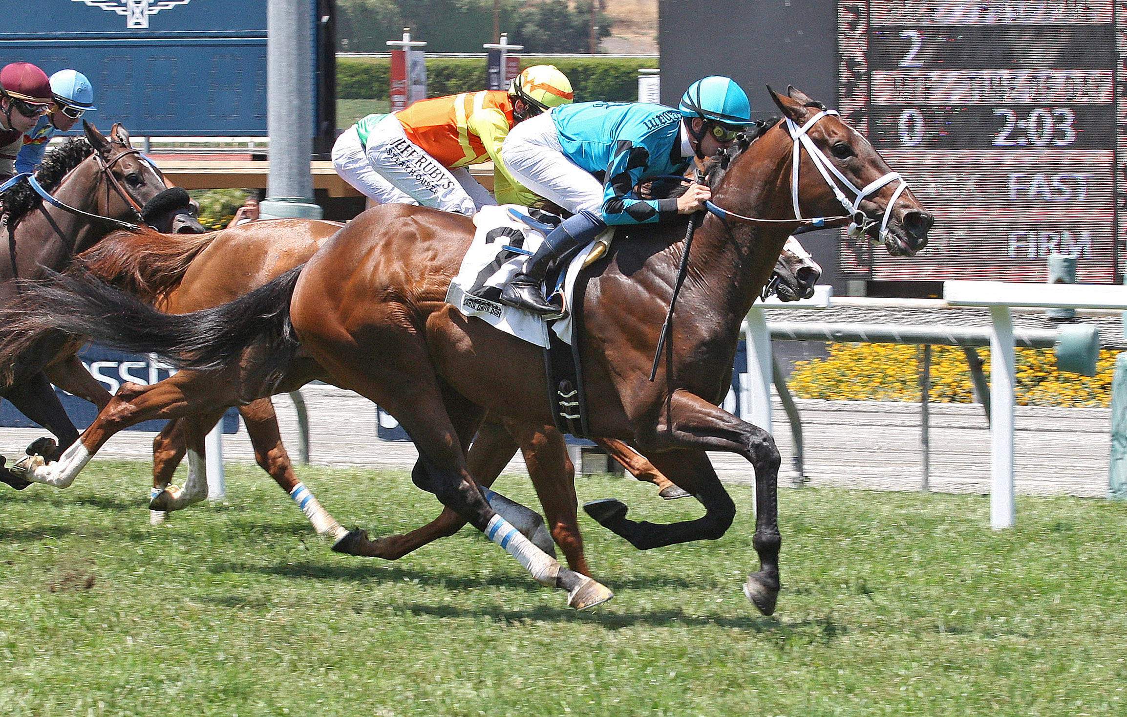 Finnegans Wake wins an allowance optional claiming race on June 16