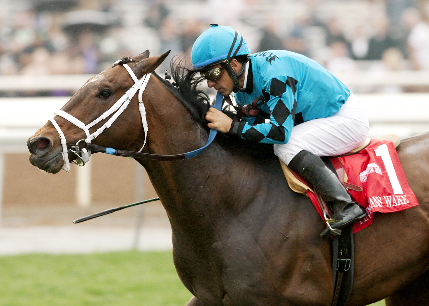 Finnegans Wake wins the San Marcos