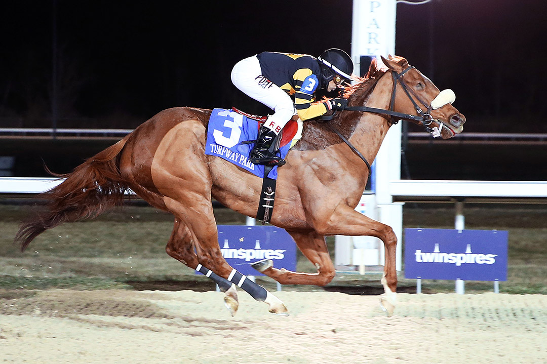 Finnick the Fierce wins a March 3 allowance at Turfway