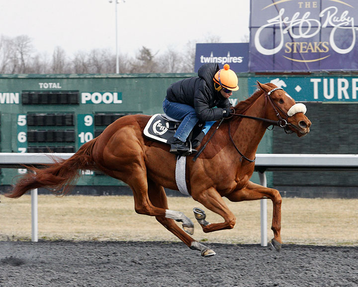 Finnick the Fierce trains at Turfway Park on Feb. 27