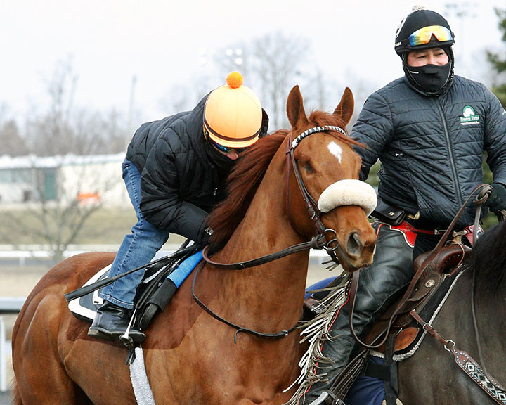Finnick the Fierce at Turfway Park on Feb. 27