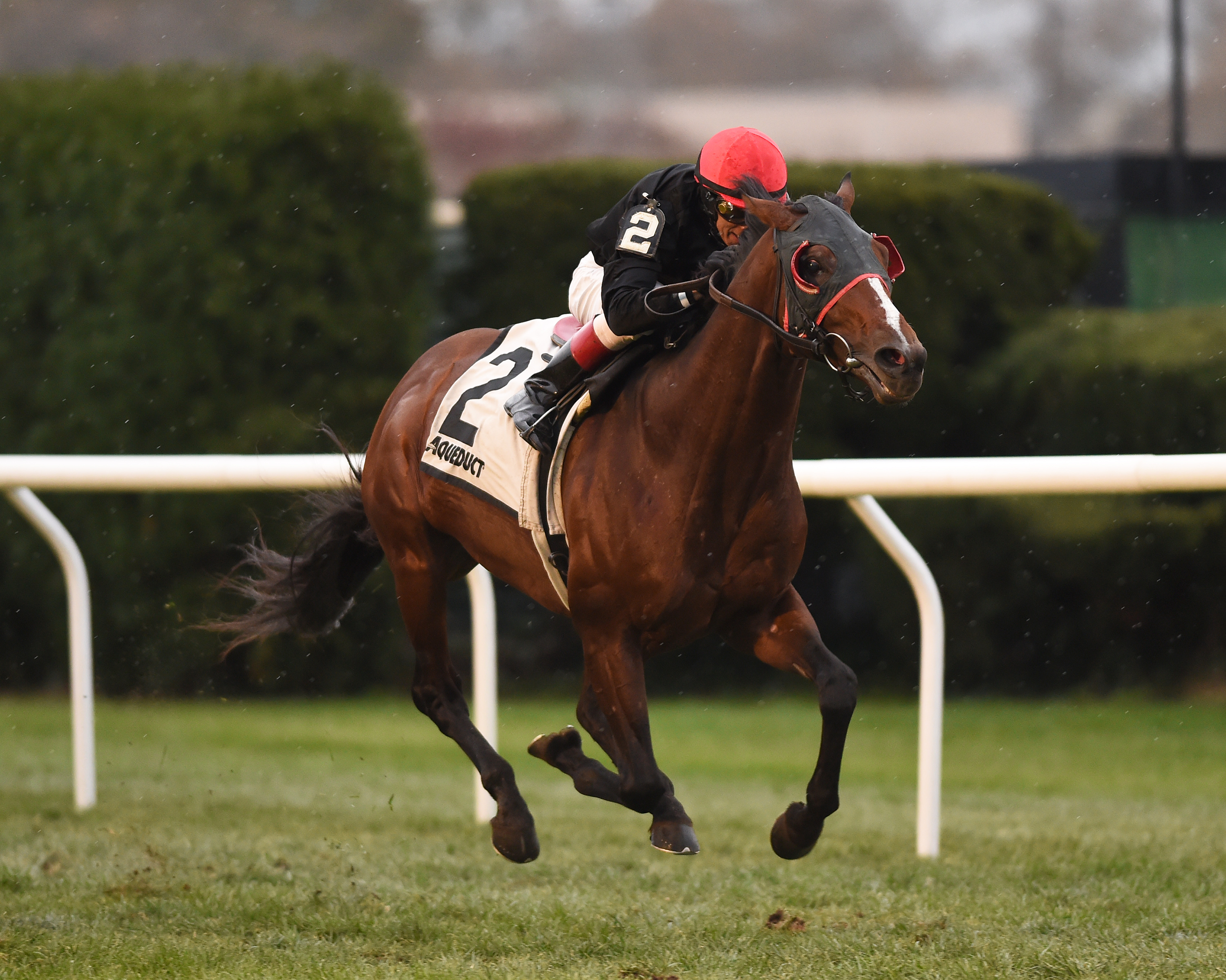 Fire Away wins the 2017 Artie Schiller