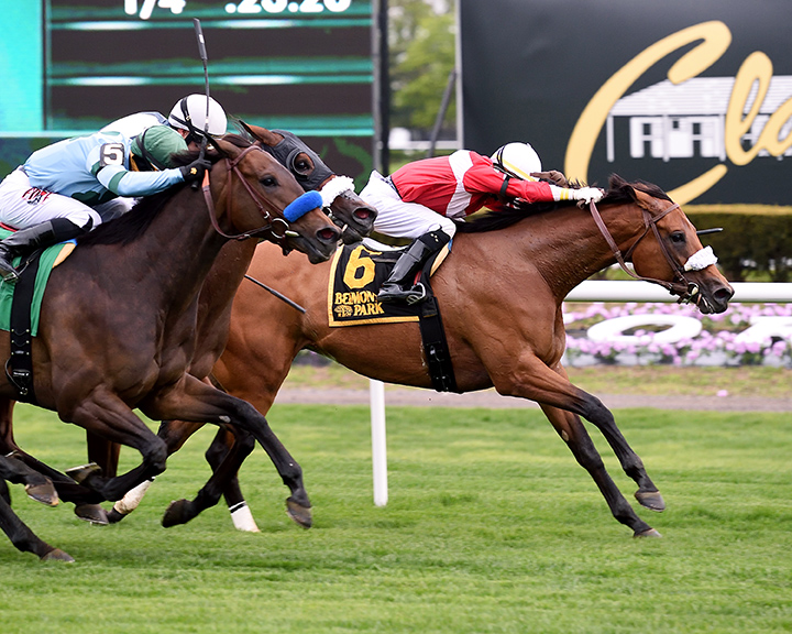Fire Key wins the 2019 License Fee Stakes at Belmont Park