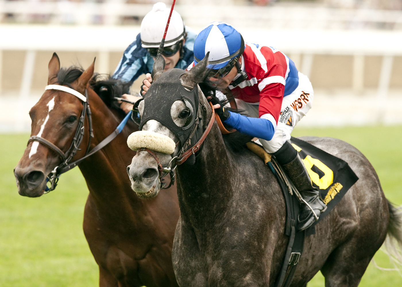 Fire With Fire wins the Charles Whittingham