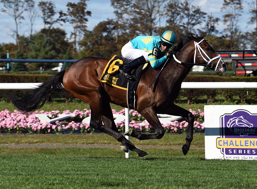 Fire At Will wins the 2020 Pilgrim Stakes at Belmont Park