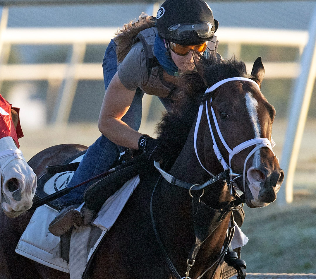 Fire At Will trains at Gulfstream Park on Jan. 23