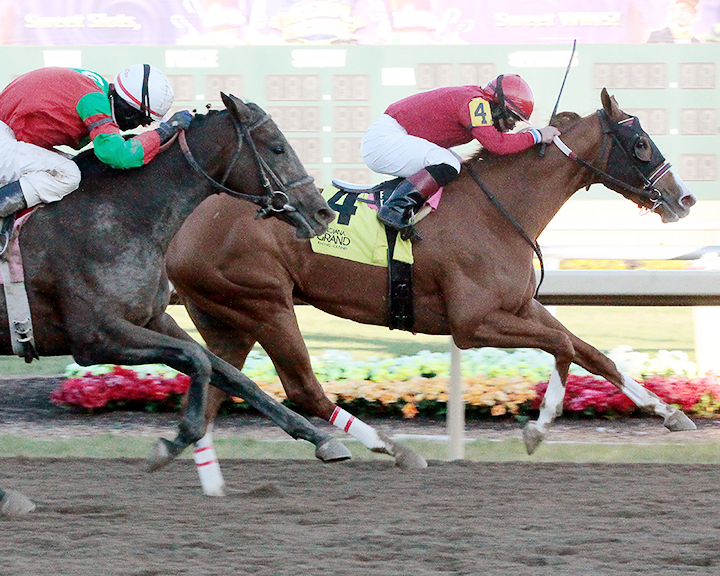 Fireball Baby wins the 2018 Miss Indiana Stakes