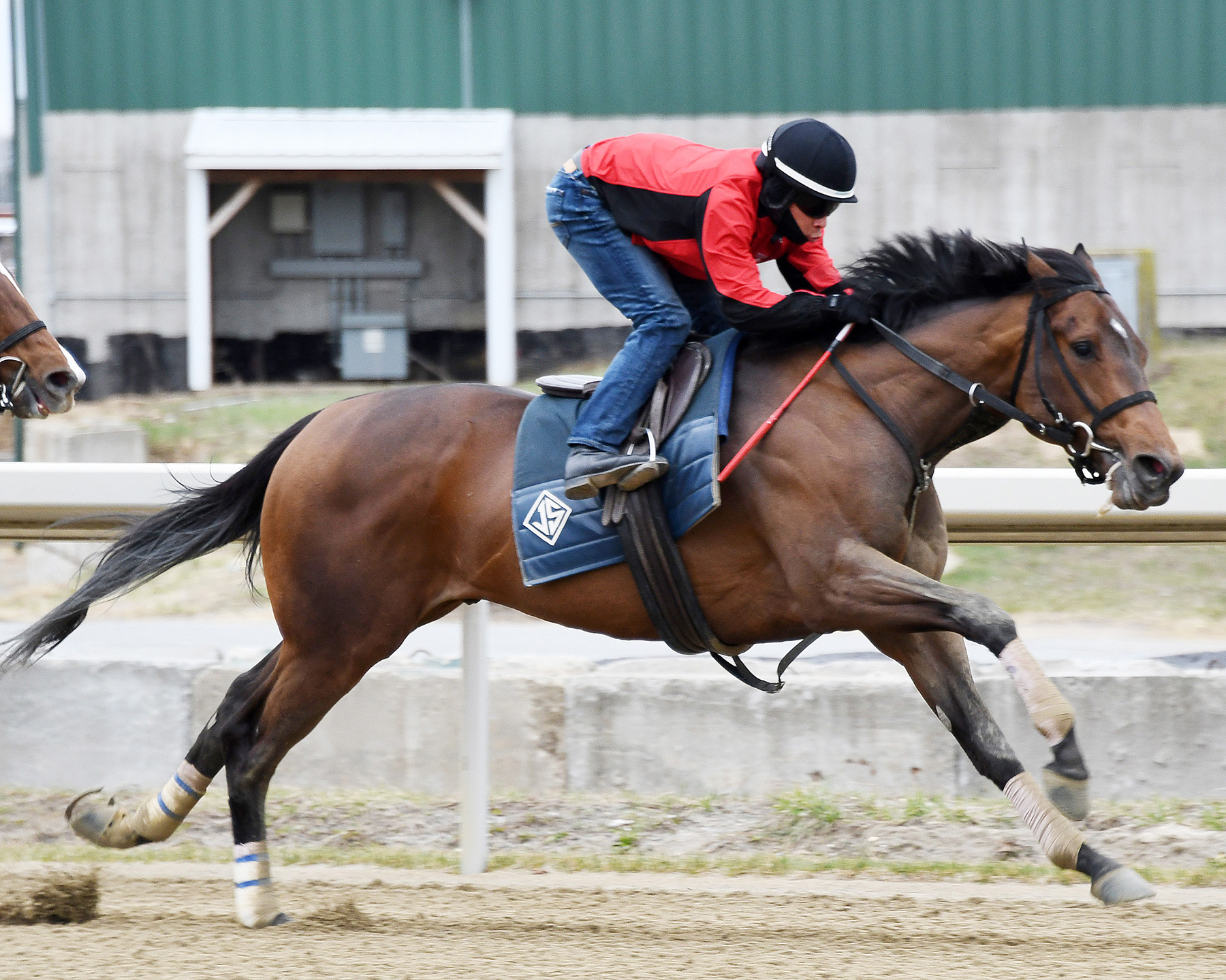 Firenze Fire trains at Belmont on March 4