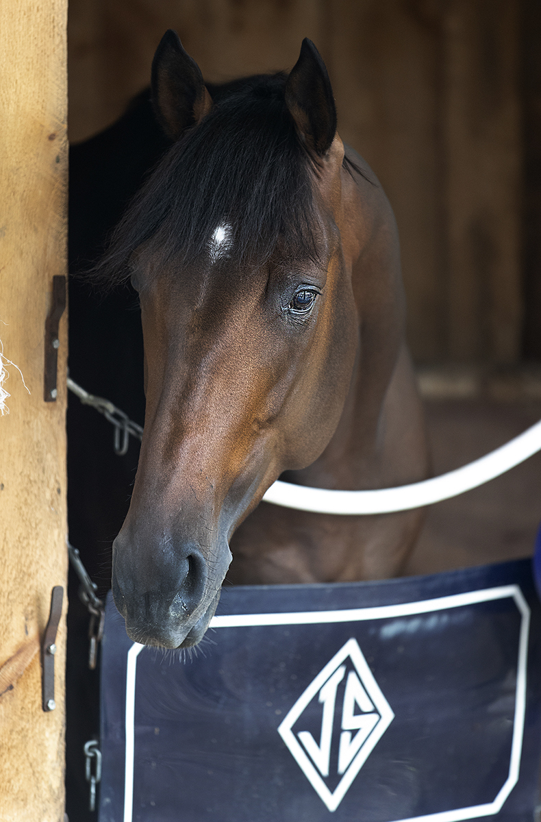 Firenze Fire at Saratoga on Aug. 12