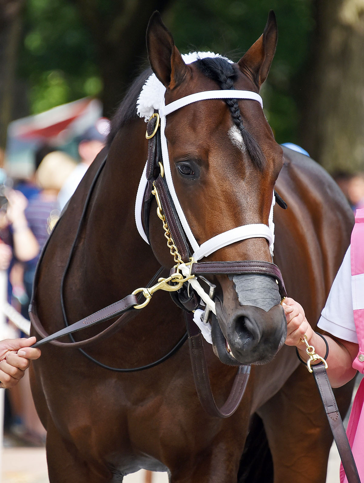 Firenze Fire at Saratoga on Aug. 25