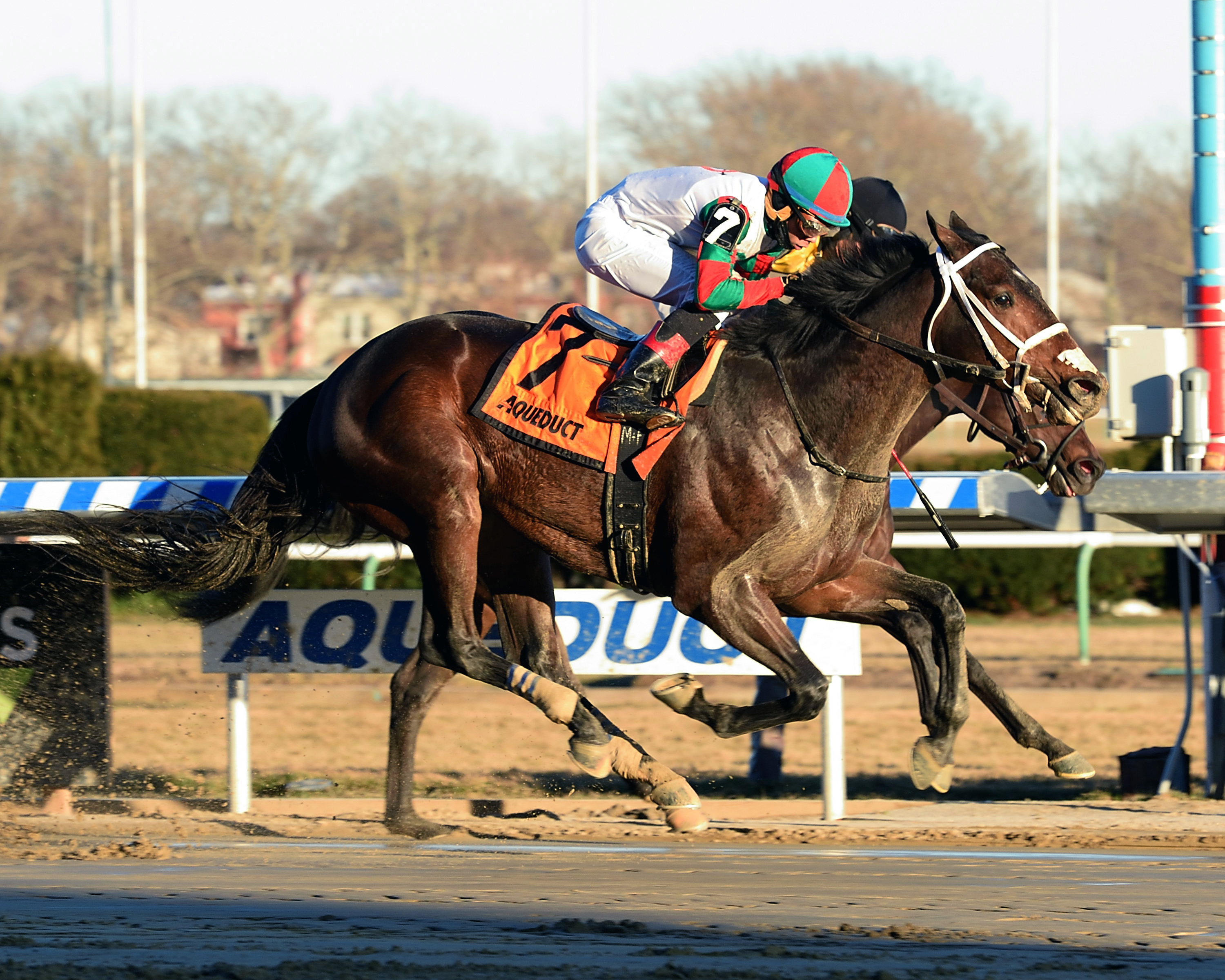 Firenze Fire wins the 2018 Jerome Stakes