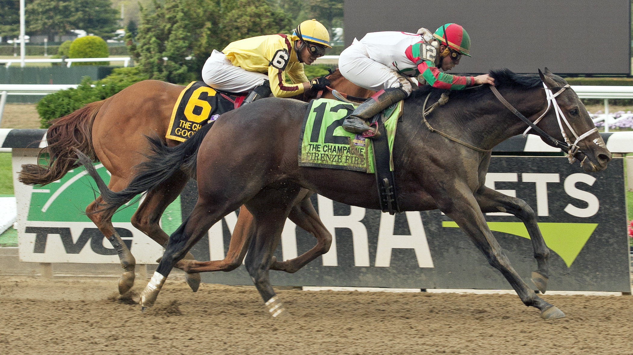 Firenze Fire wins the 2017 Champagne Stakes