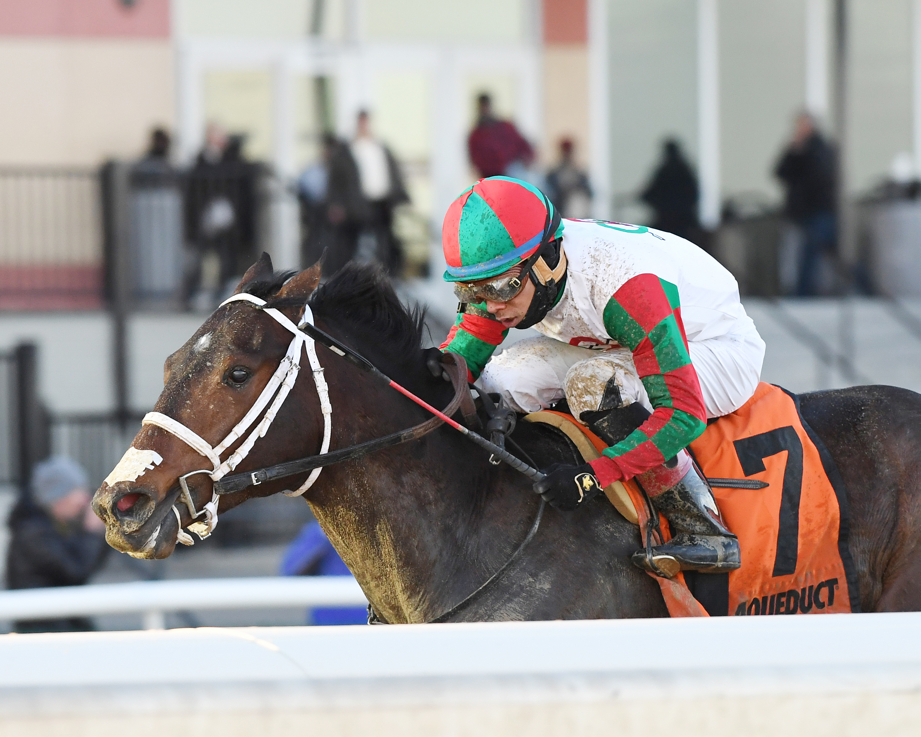 Firenze Fire wins the 2018 Jerome Stakes