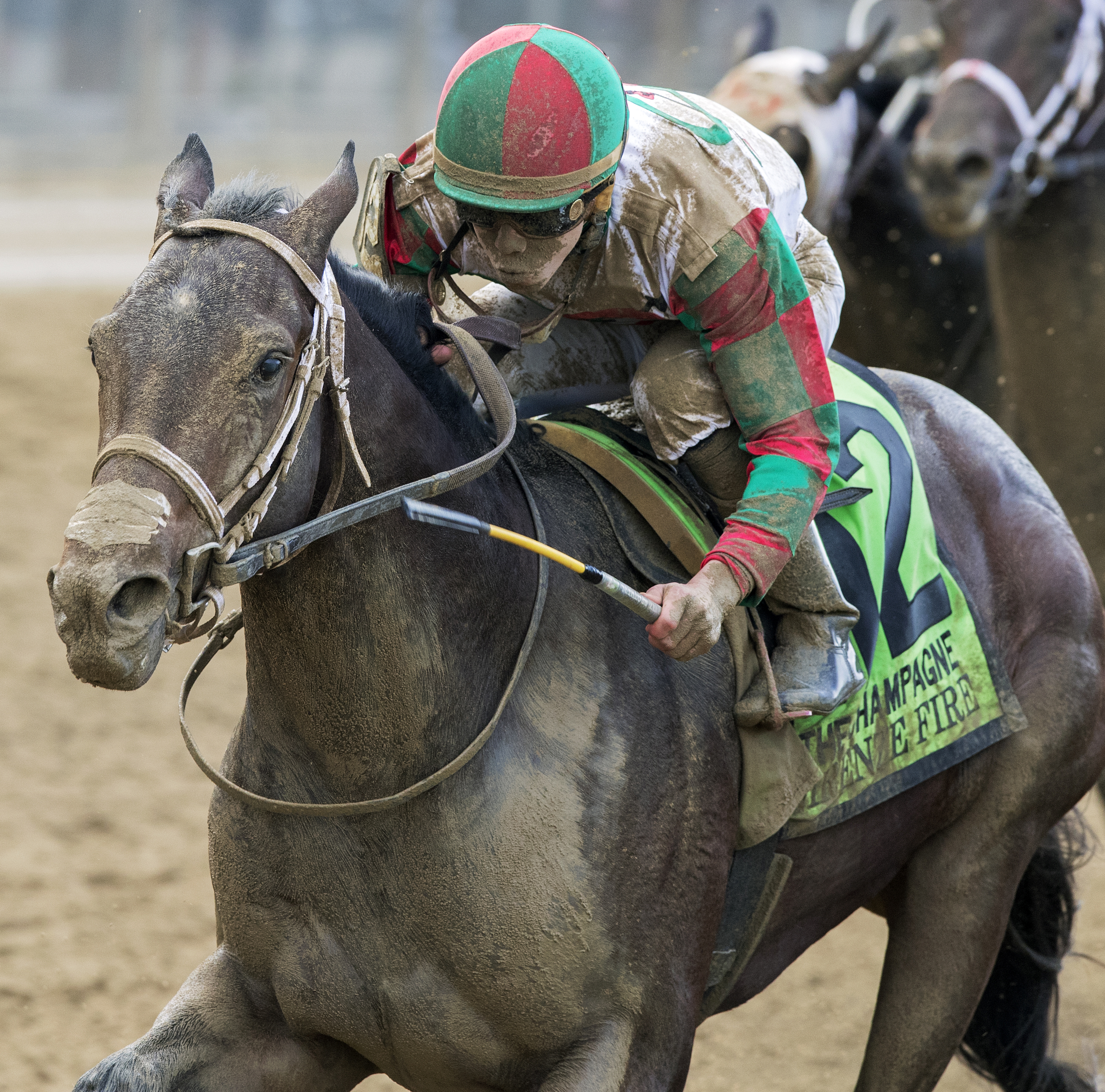 Firenze Fire wins the 2017 Champagne