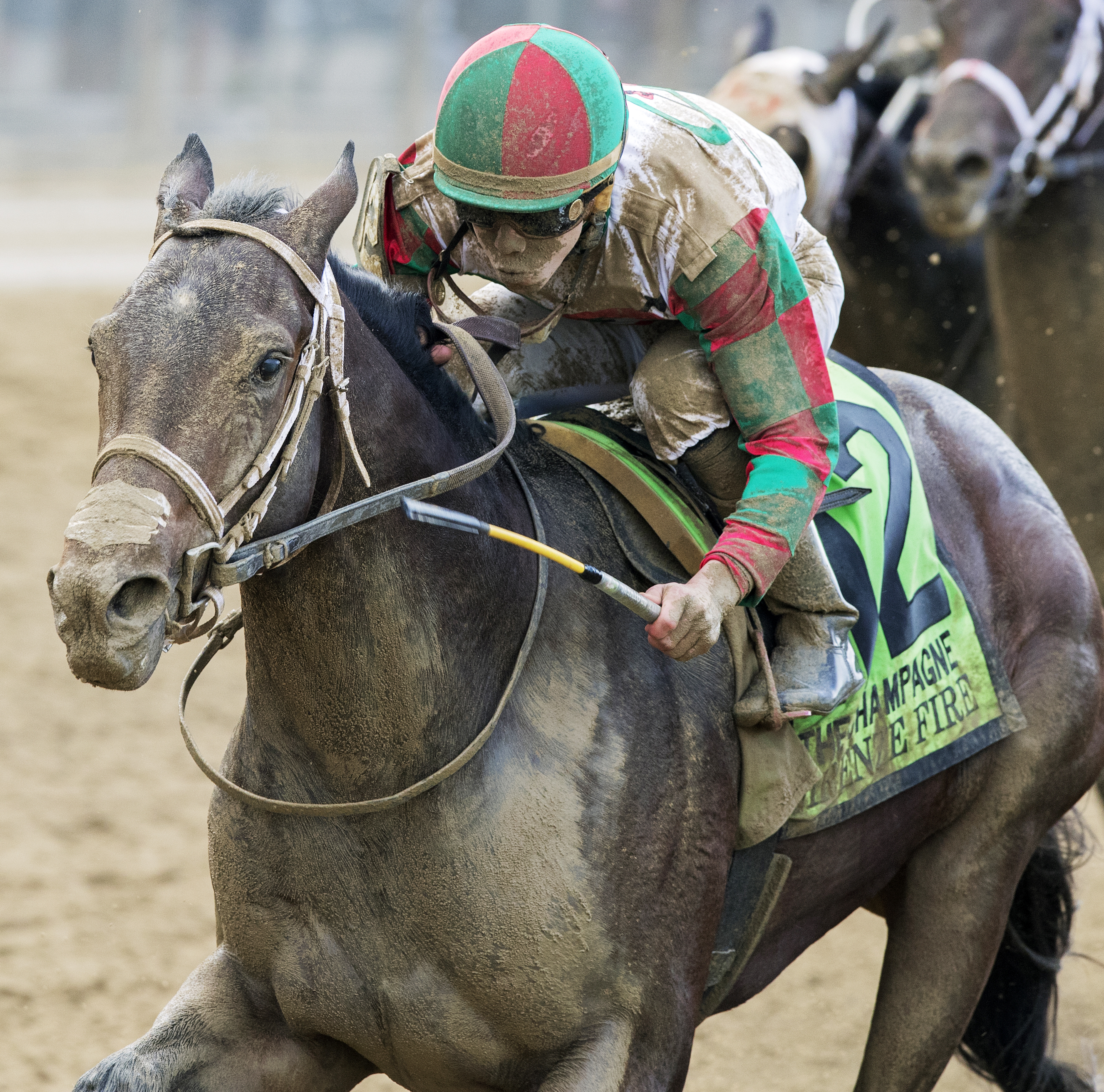 Firenze Fire wins the 2017 Champagne Stakes