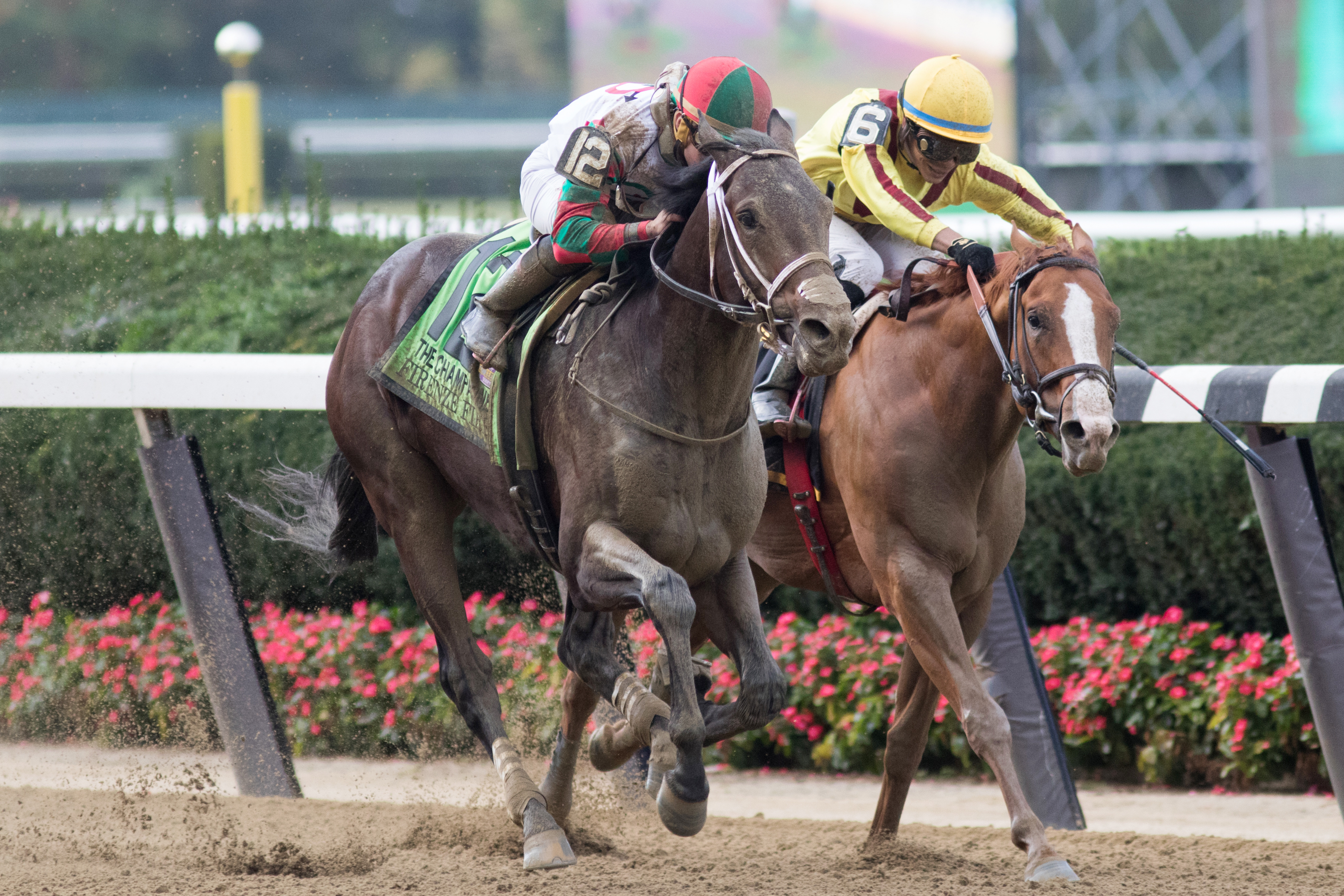 Firenze Fire wins the Champagne Stakes
