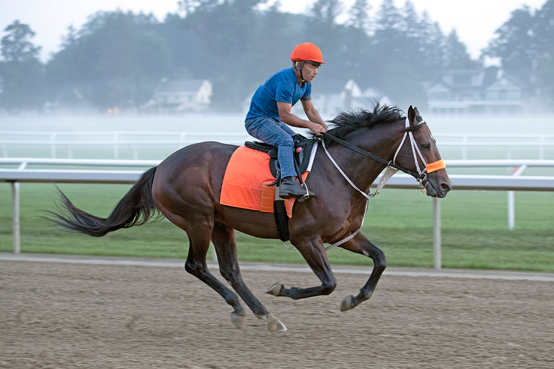 Firenze Fire trains at Saratoga Race Course on July 21