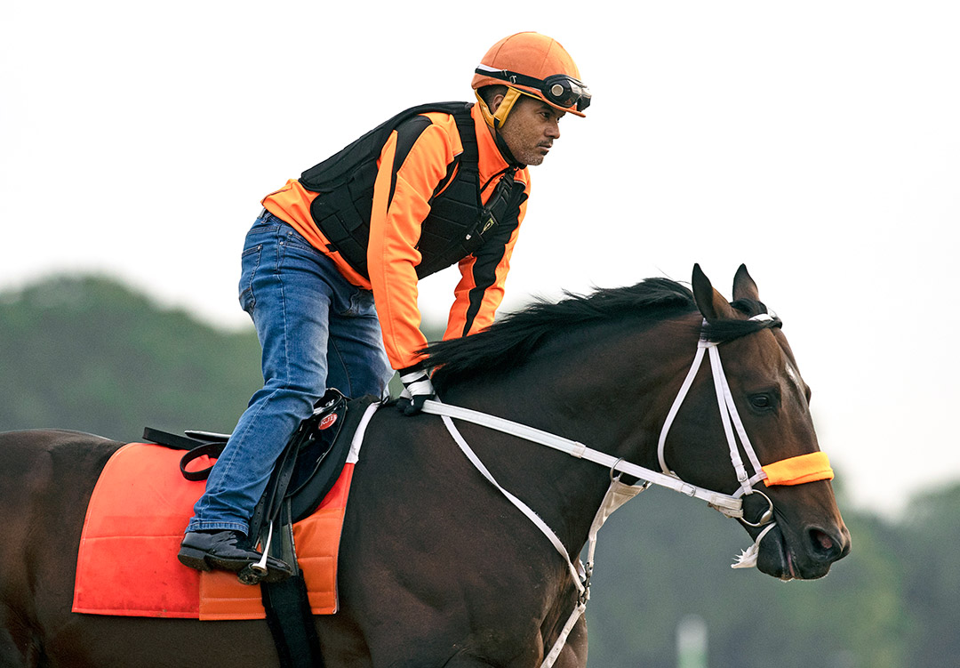 Firenze Fire trains at Belmont Park on June 1
