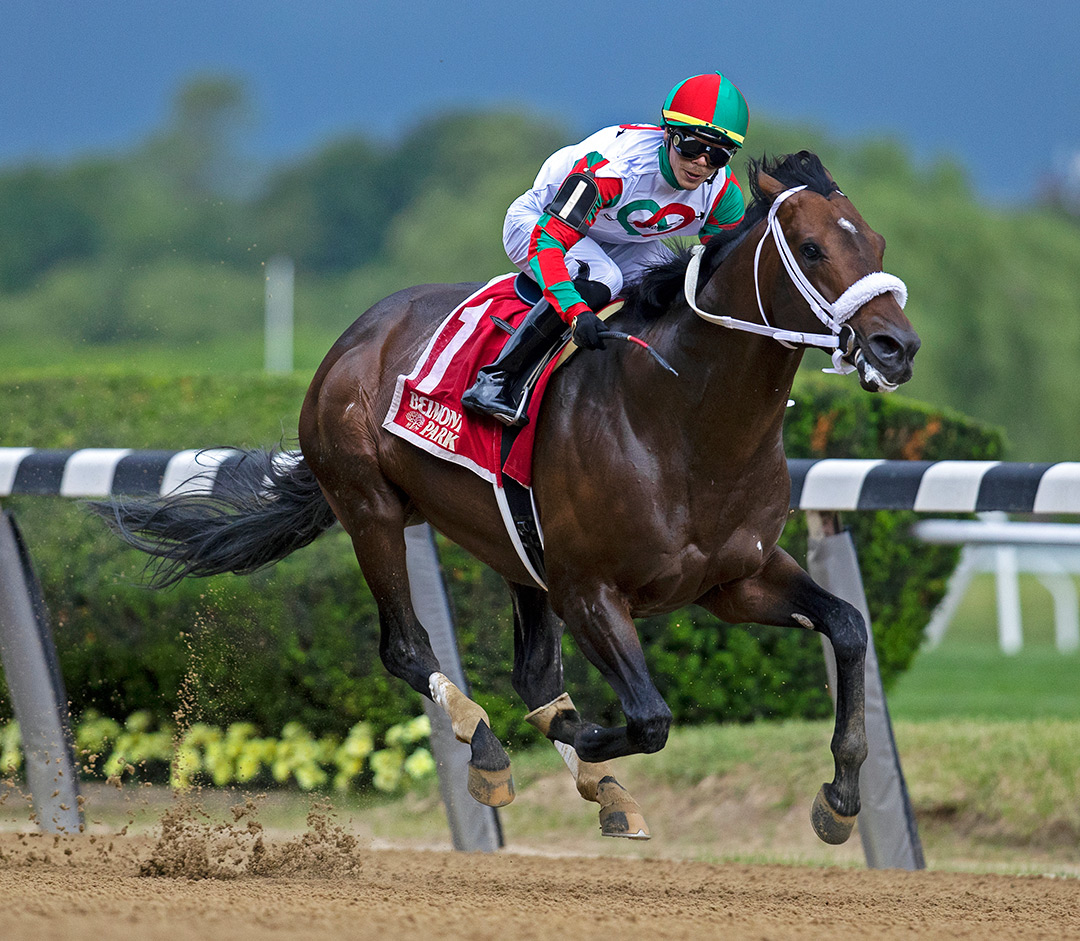 Firenze Fire wins the True North Stakes at Belmont Park