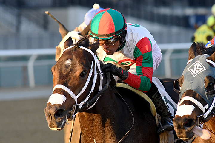 Firenze Fire wins the 2019 Gravesend Stakes at Aqueduct Racetrack