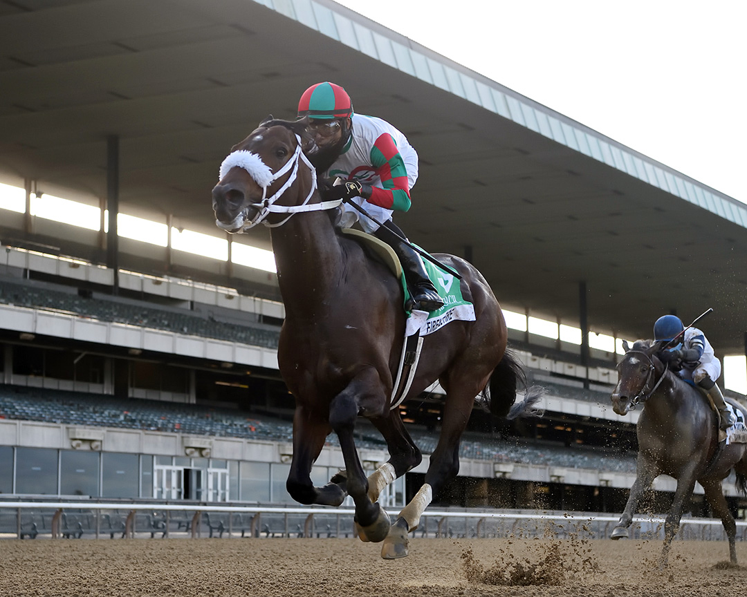 Firenze Fire wins the 2020 Vosburgh at Belmont Park