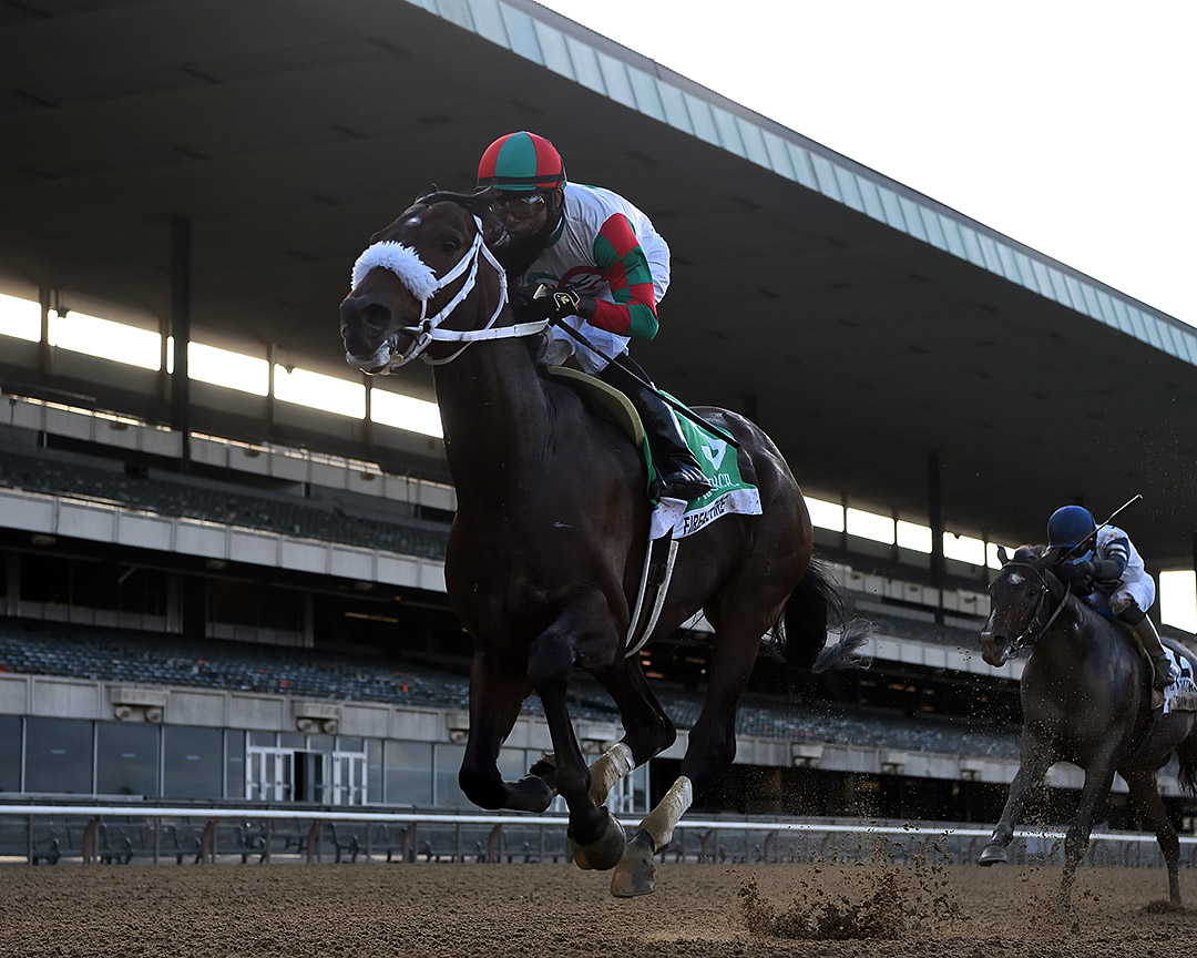 Firenze Fire wins the 2020 Vosburgh at Belmont Park