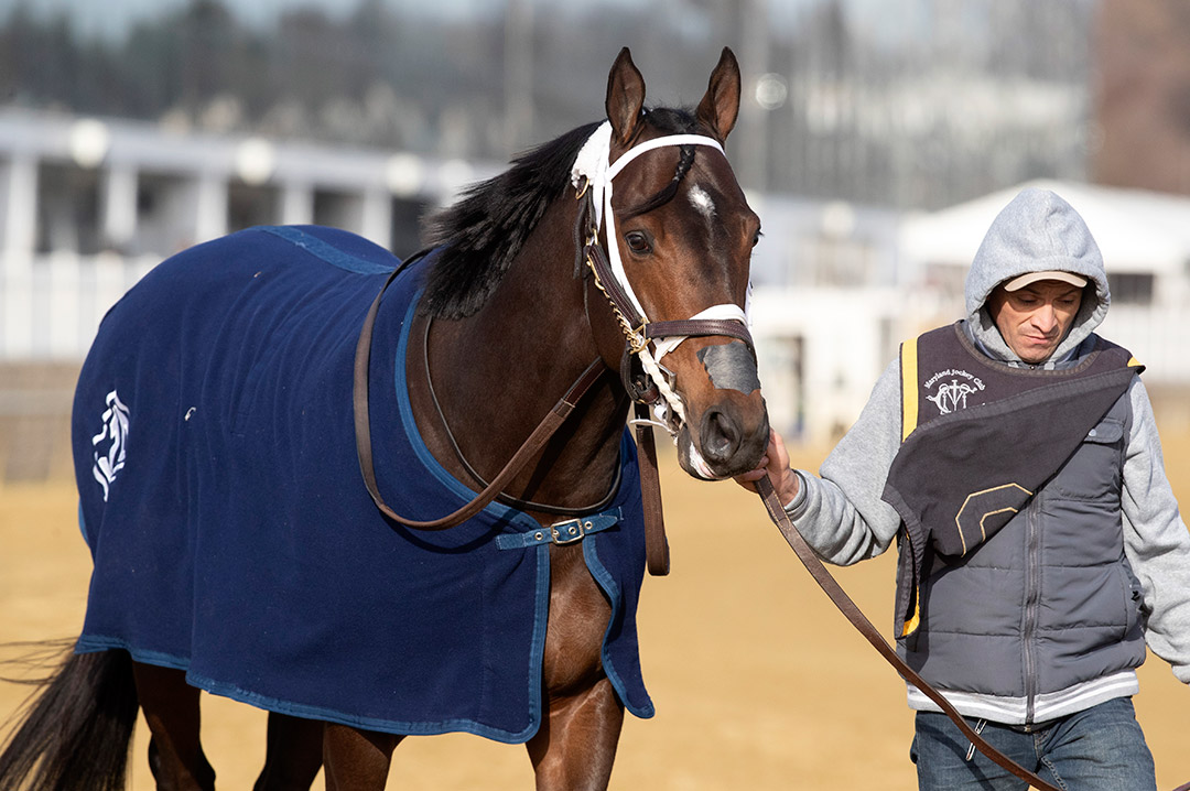 Firenze Fire at Laurel Park in February 2020