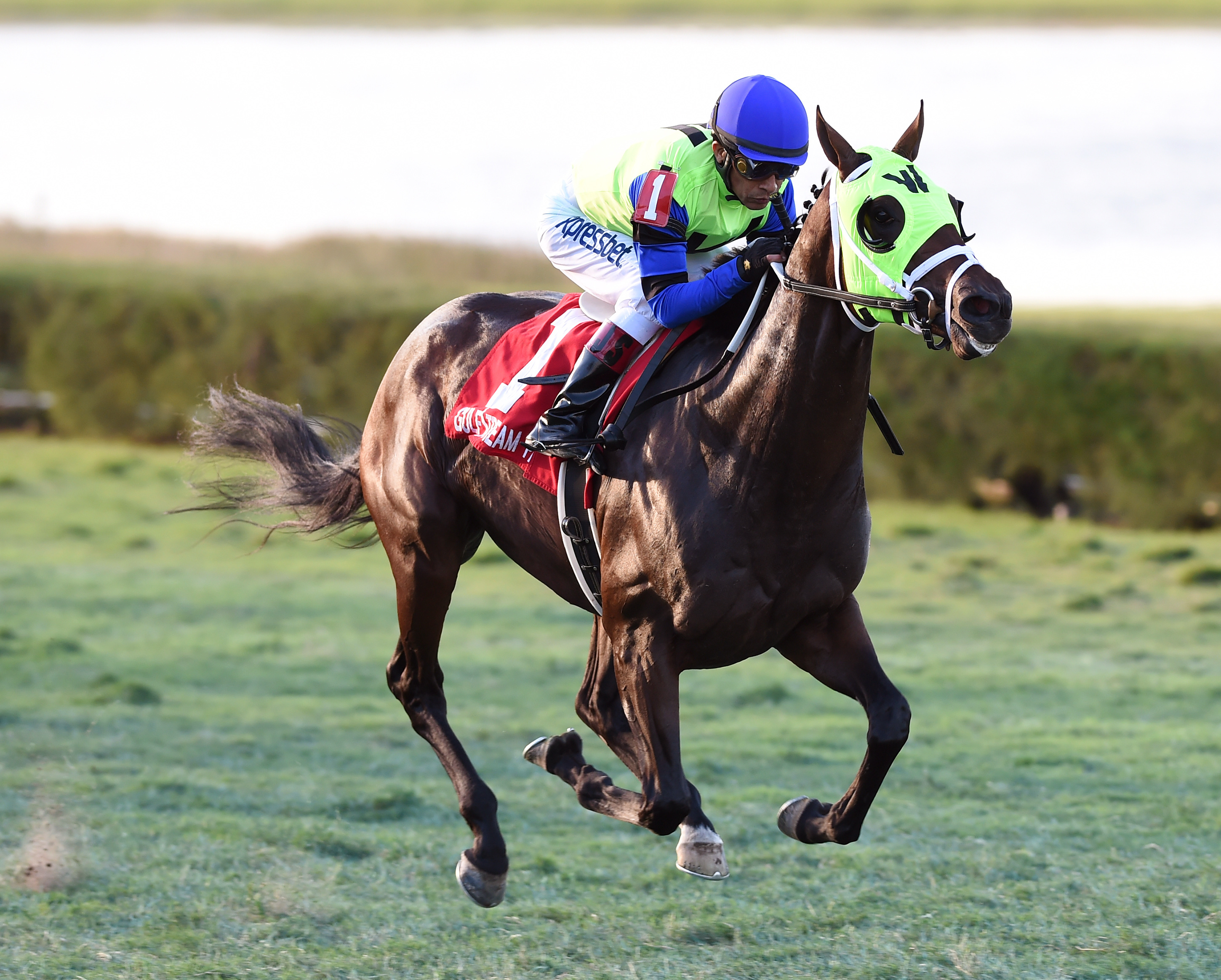 Firespike wins Juvenile Turf Stakes