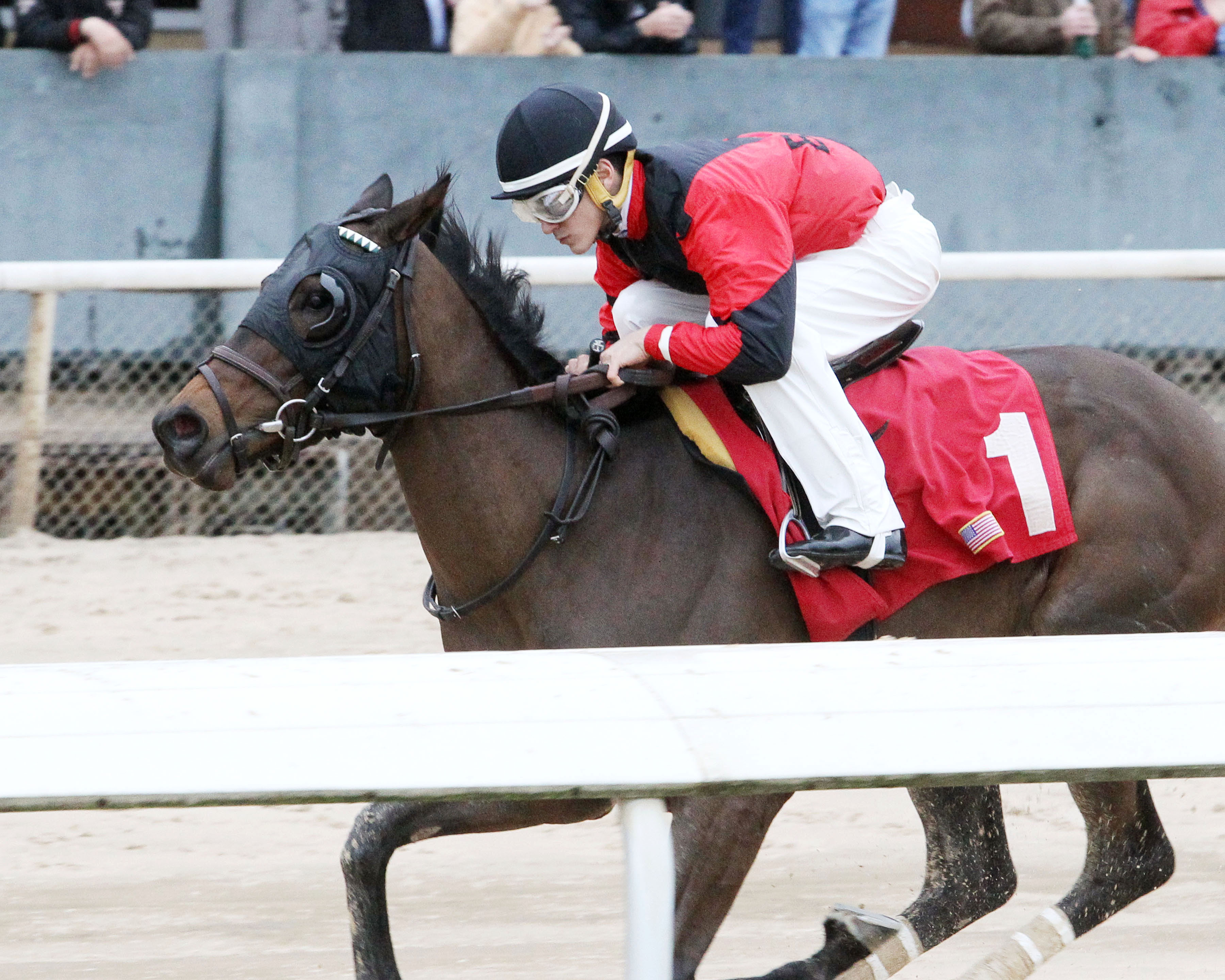 Firewater Rocket wins a Feb. 23 maiden race