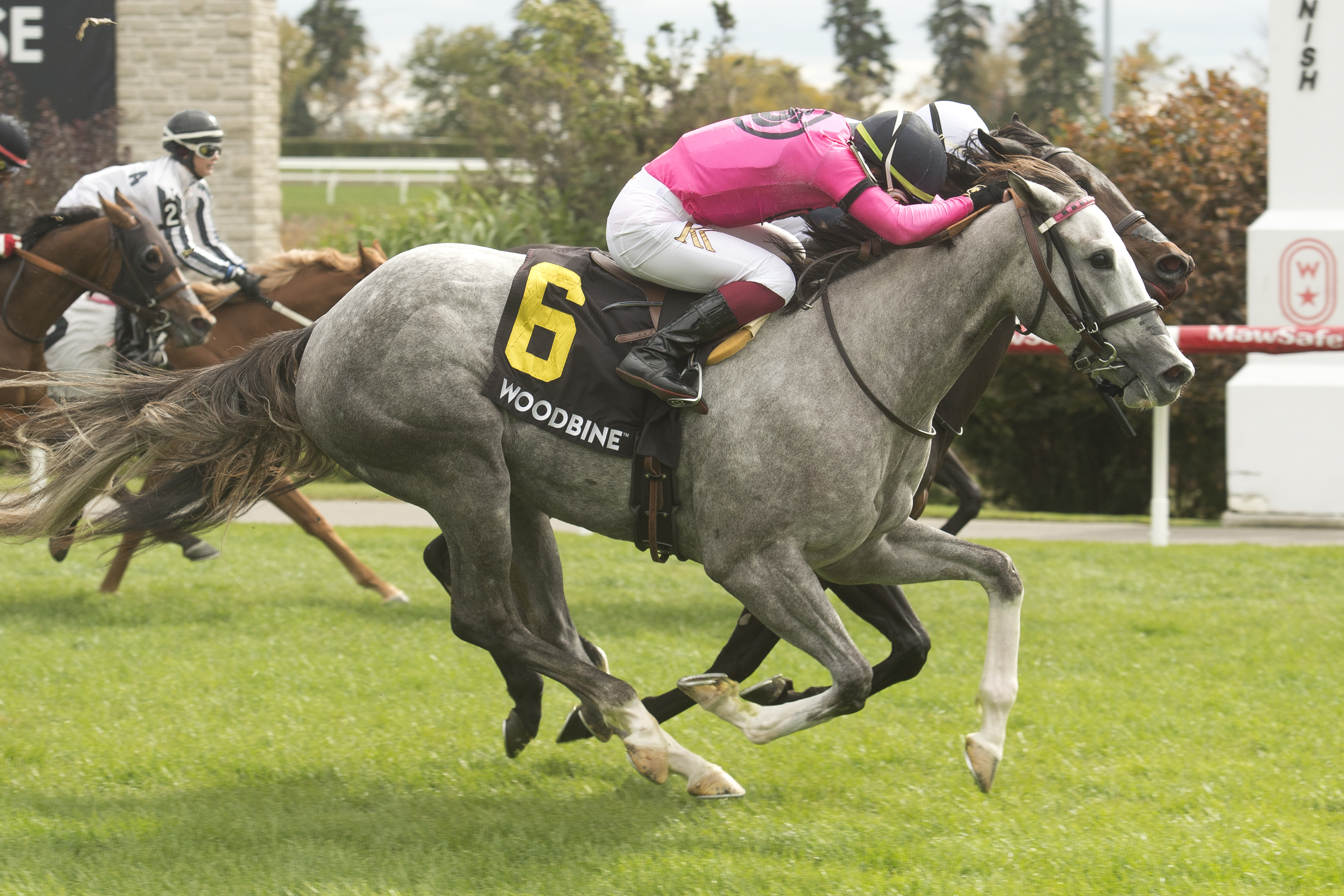 Firing Bullets (No. 6) beats stablemate Fearless Angel in the Woodbine Cares Oct 8 2022