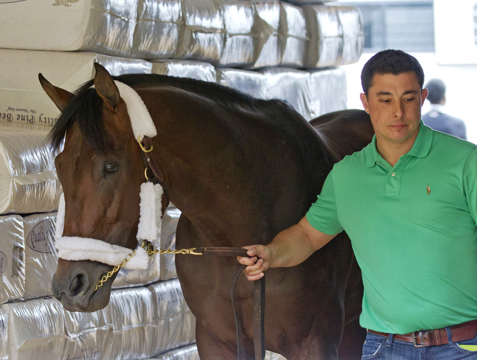 Firing Line with trainer Simon Callaghan in 2015