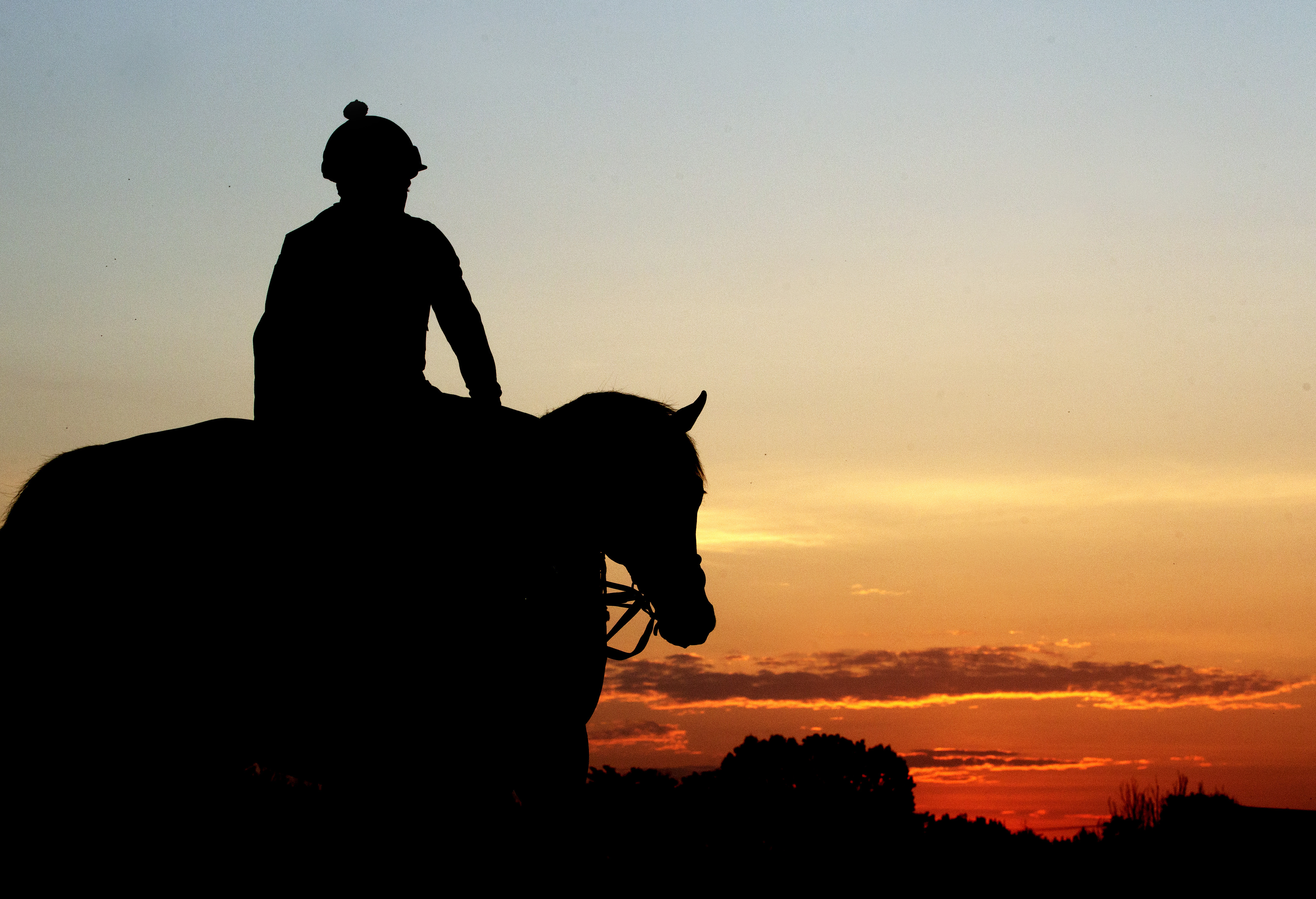 Firing Line at dawn May 16
