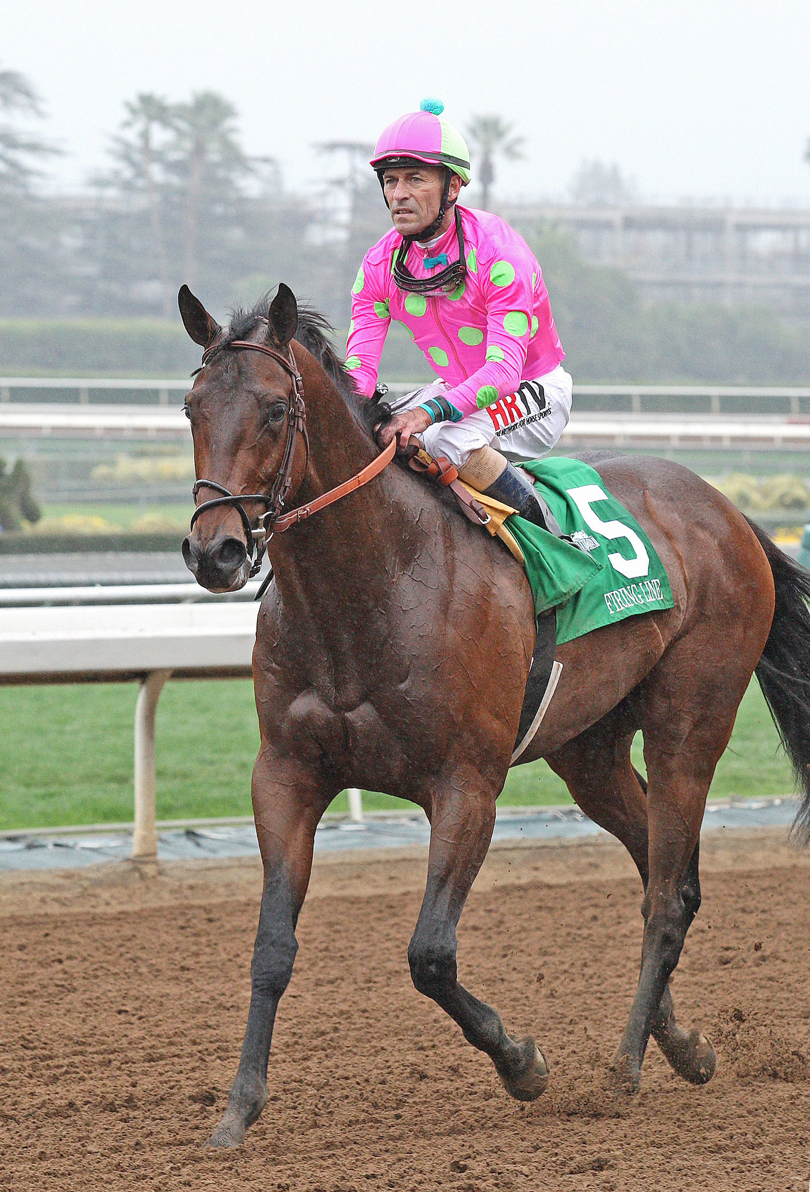 Firing Line finishes second in the Robert B. Lewis