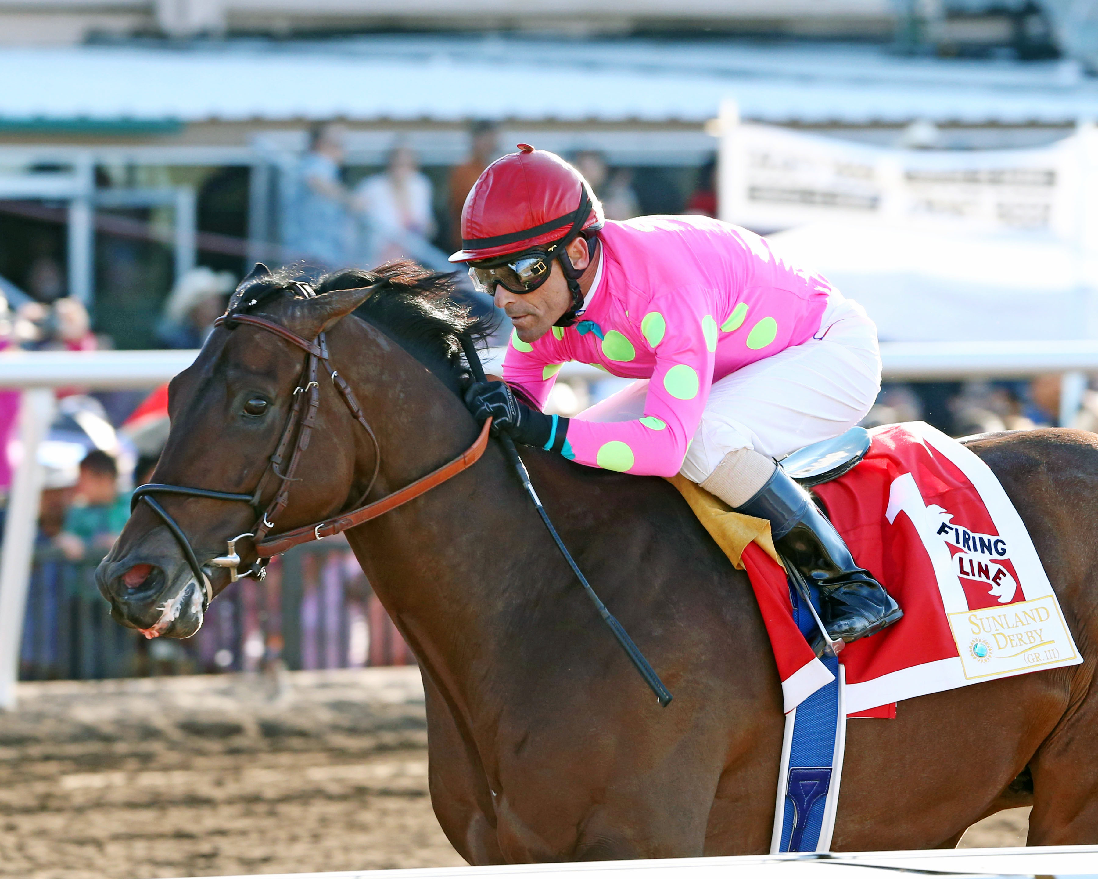Firing Line wins the Sunland Park Derby
