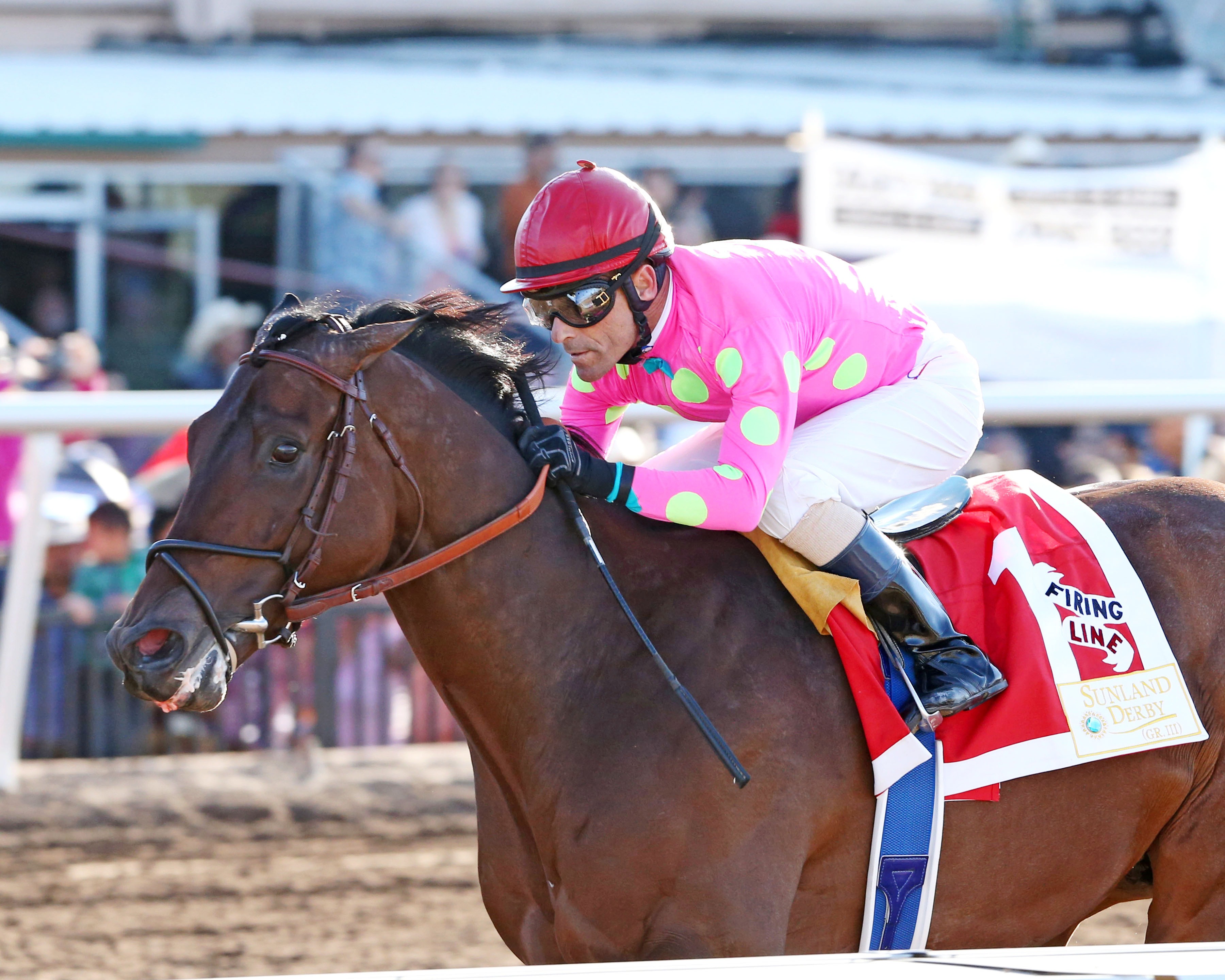 Firing Line wins the Sunland Park Derby